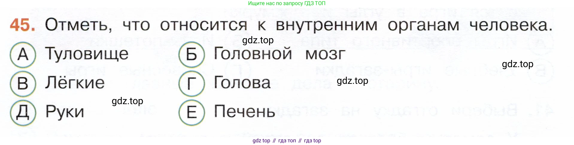 Окружающий мир, 3 класс Тесты, авторы: Плешаков Андрей Анатольевич, Новицкая Марина Юрьевна, Назарова З Д, издательство Просвещение, Москва, 2019, белого цвета, страница 52, номер 45, Условие