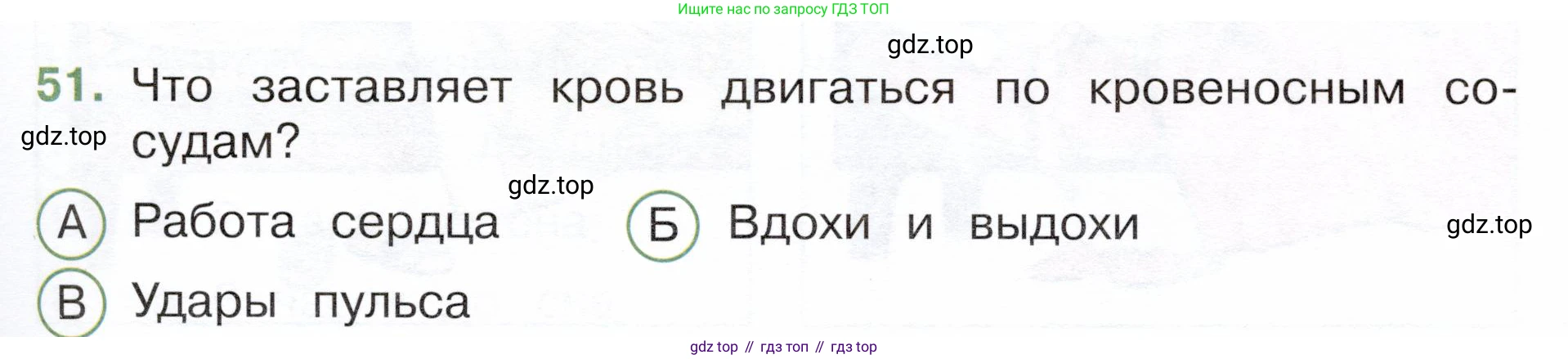 Окружающий мир, 3 класс Тесты, авторы: Плешаков Андрей Анатольевич, Новицкая Марина Юрьевна, Назарова З Д, издательство Просвещение, Москва, 2019, белого цвета, страница 53, номер 51, Условие