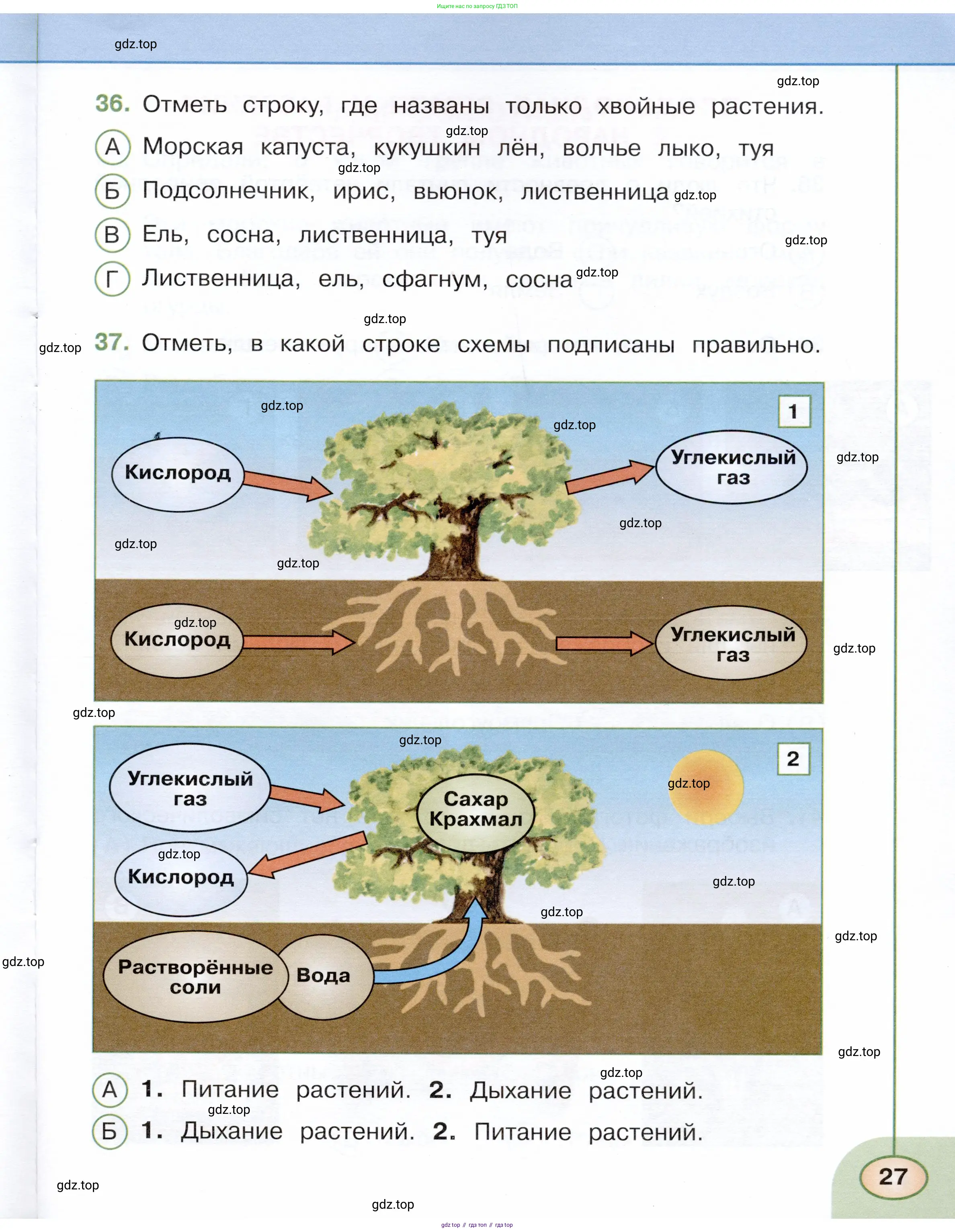 Окружающий мир, 3 класс Тесты, авторы: Плешаков Андрей Анатольевич, Новицкая Марина Юрьевна, Назарова З Д, издательство Просвещение, Москва, 2019, белого цвета, страница 27