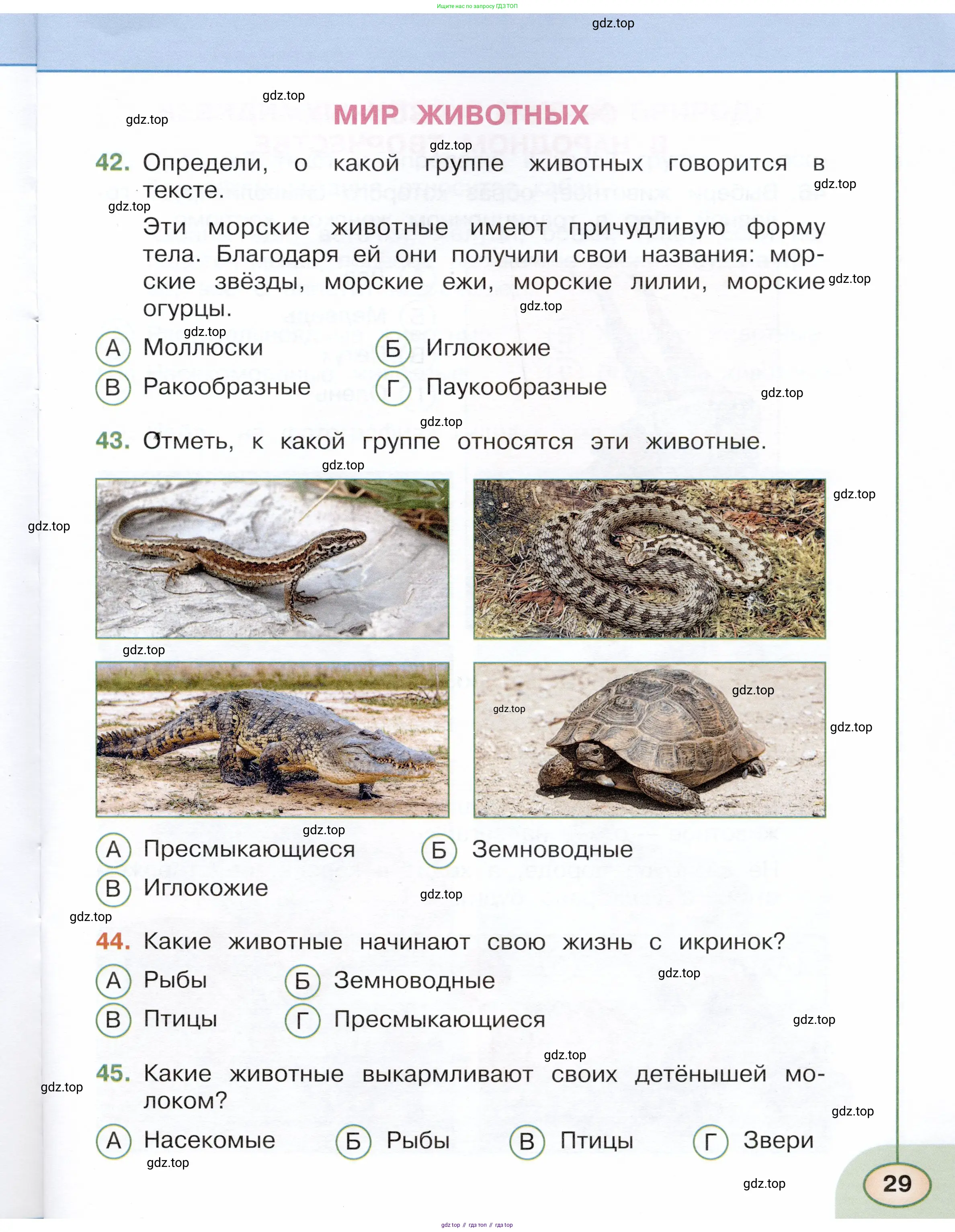 Окружающий мир, 3 класс Тесты, авторы: Плешаков Андрей Анатольевич, Новицкая Марина Юрьевна, Назарова З Д, издательство Просвещение, Москва, 2019, белого цвета, страница 29