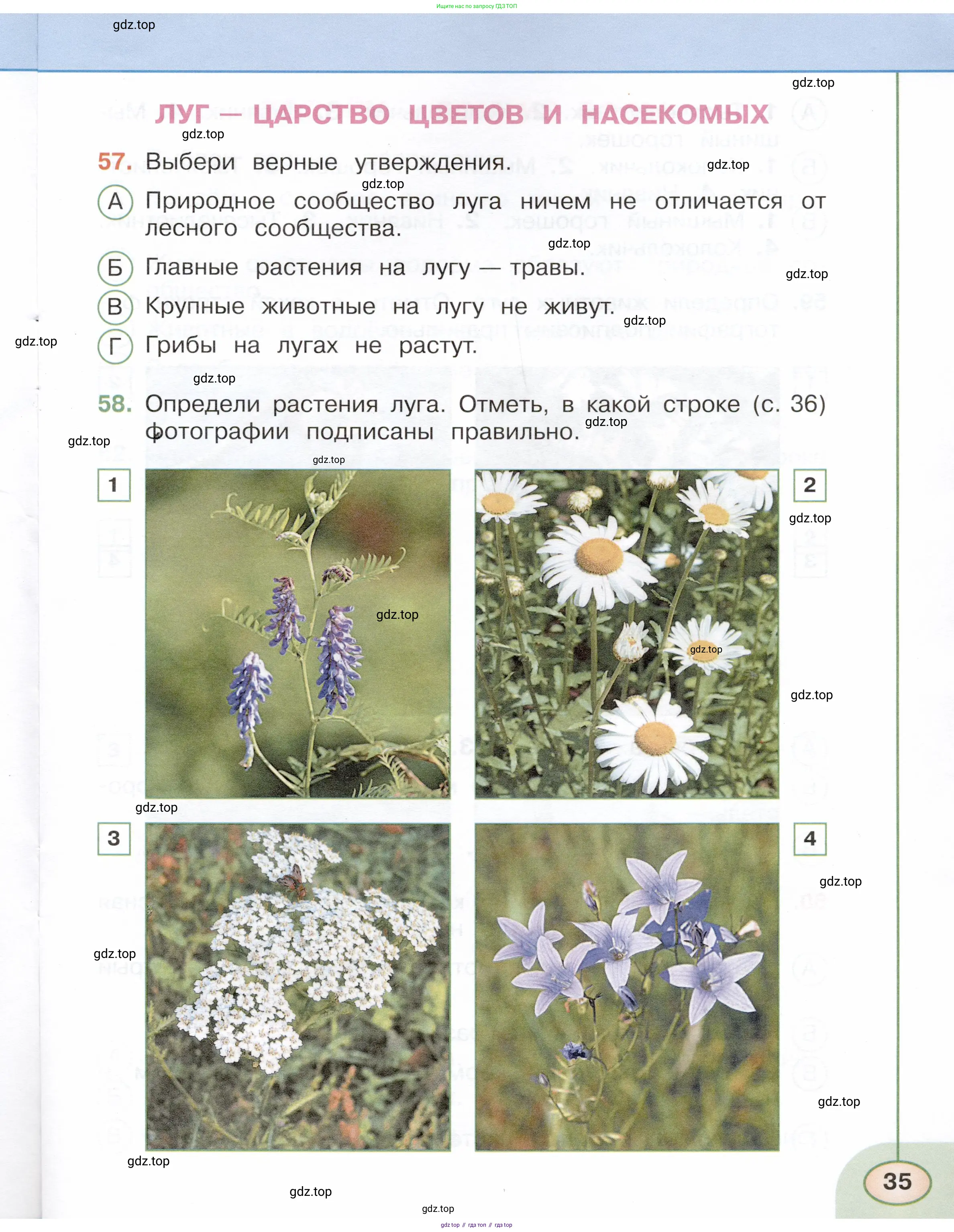 Окружающий мир, 3 класс Тесты, авторы: Плешаков Андрей Анатольевич, Новицкая Марина Юрьевна, Назарова З Д, издательство Просвещение, Москва, 2019, белого цвета, страница 35