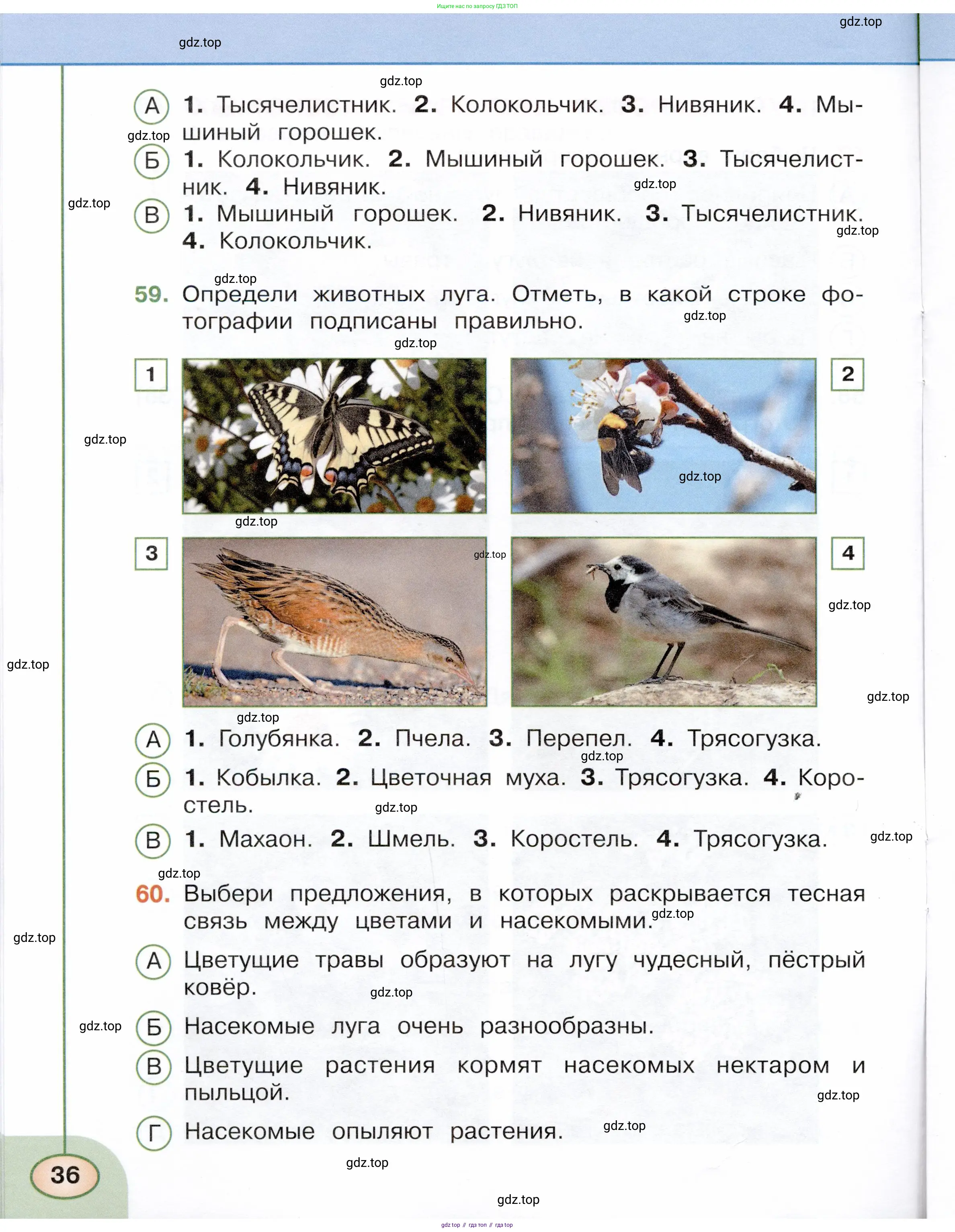 Окружающий мир, 3 класс Тесты, авторы: Плешаков Андрей Анатольевич, Новицкая Марина Юрьевна, Назарова З Д, издательство Просвещение, Москва, 2019, белого цвета, страница 36