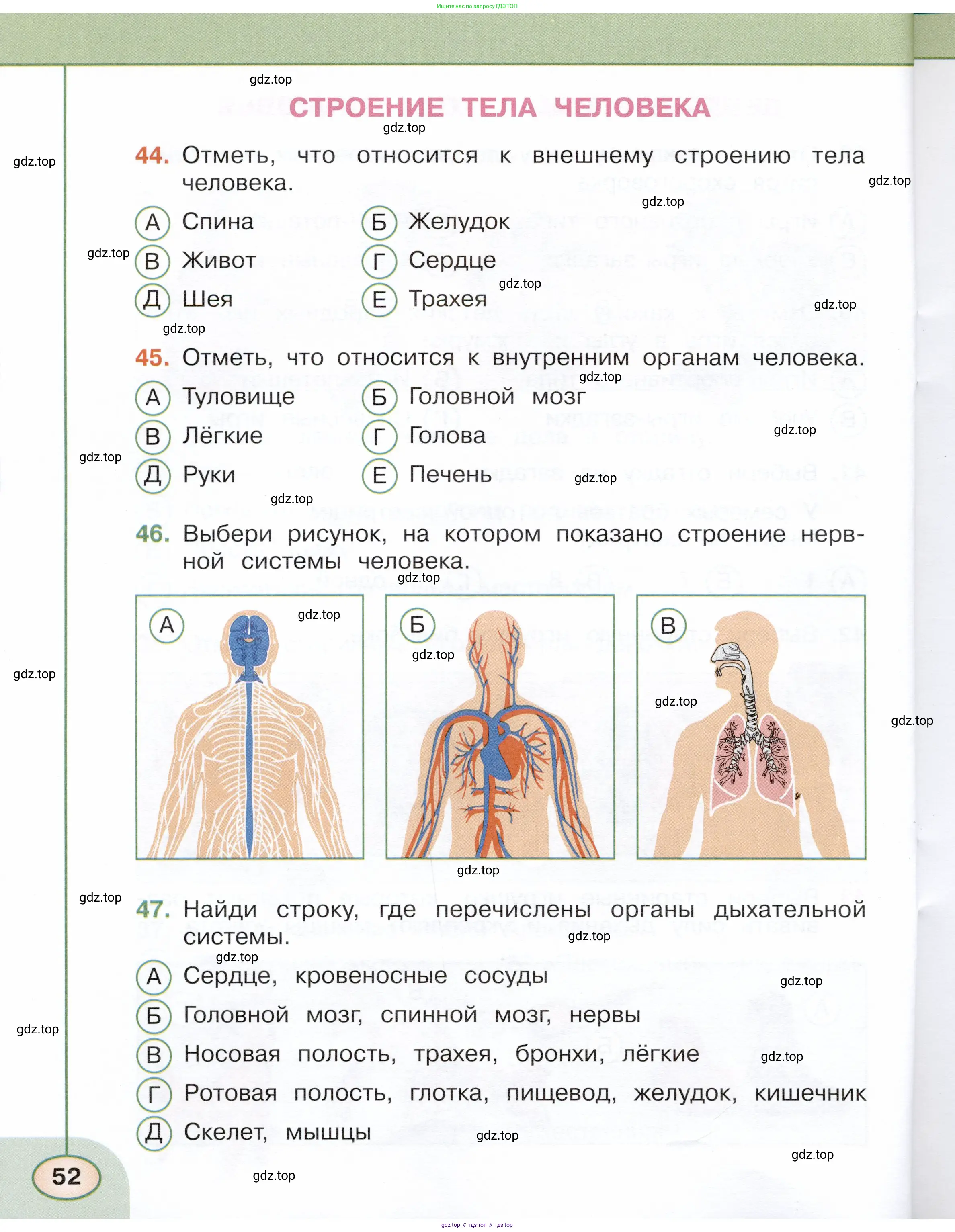 Окружающий мир, 3 класс Тесты, авторы: Плешаков Андрей Анатольевич, Новицкая Марина Юрьевна, Назарова З Д, издательство Просвещение, Москва, 2019, белого цвета, страница 52