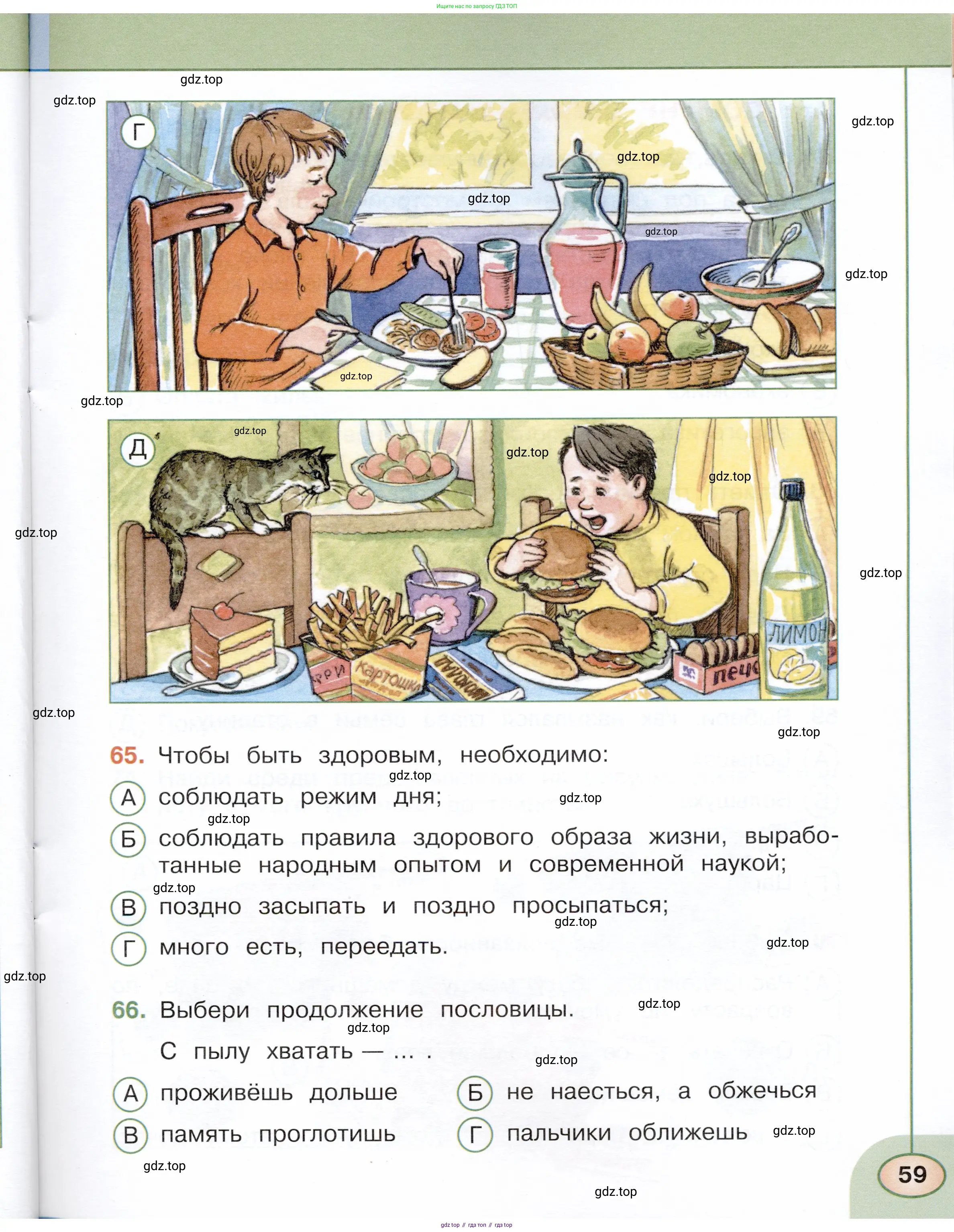 Окружающий мир, 3 класс Тесты, авторы: Плешаков Андрей Анатольевич, Новицкая Марина Юрьевна, Назарова З Д, издательство Просвещение, Москва, 2019, белого цвета, страница 59