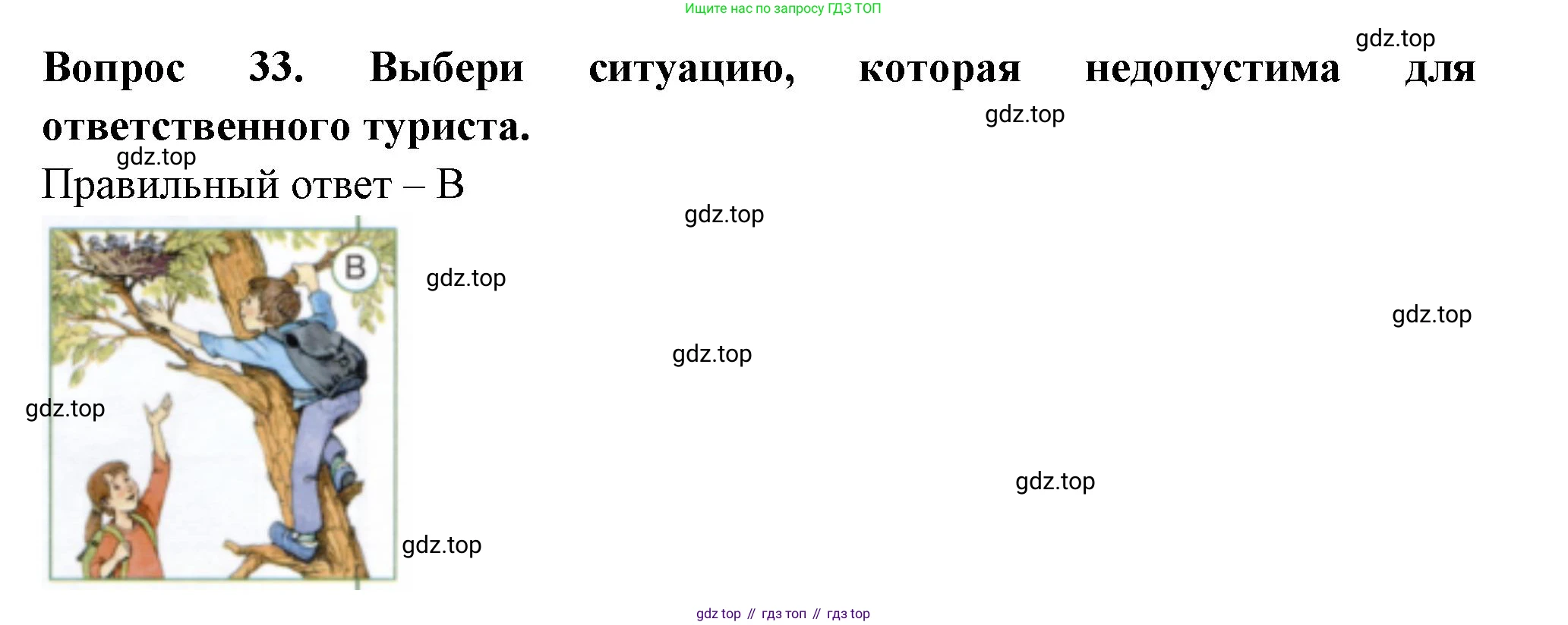 Окружающий мир, 3 класс Тесты, авторы: Плешаков Андрей Анатольевич, Новицкая Марина Юрьевна, Назарова З Д, издательство Просвещение, Москва, 2019, белого цвета, страница 13, номер 33, Решение