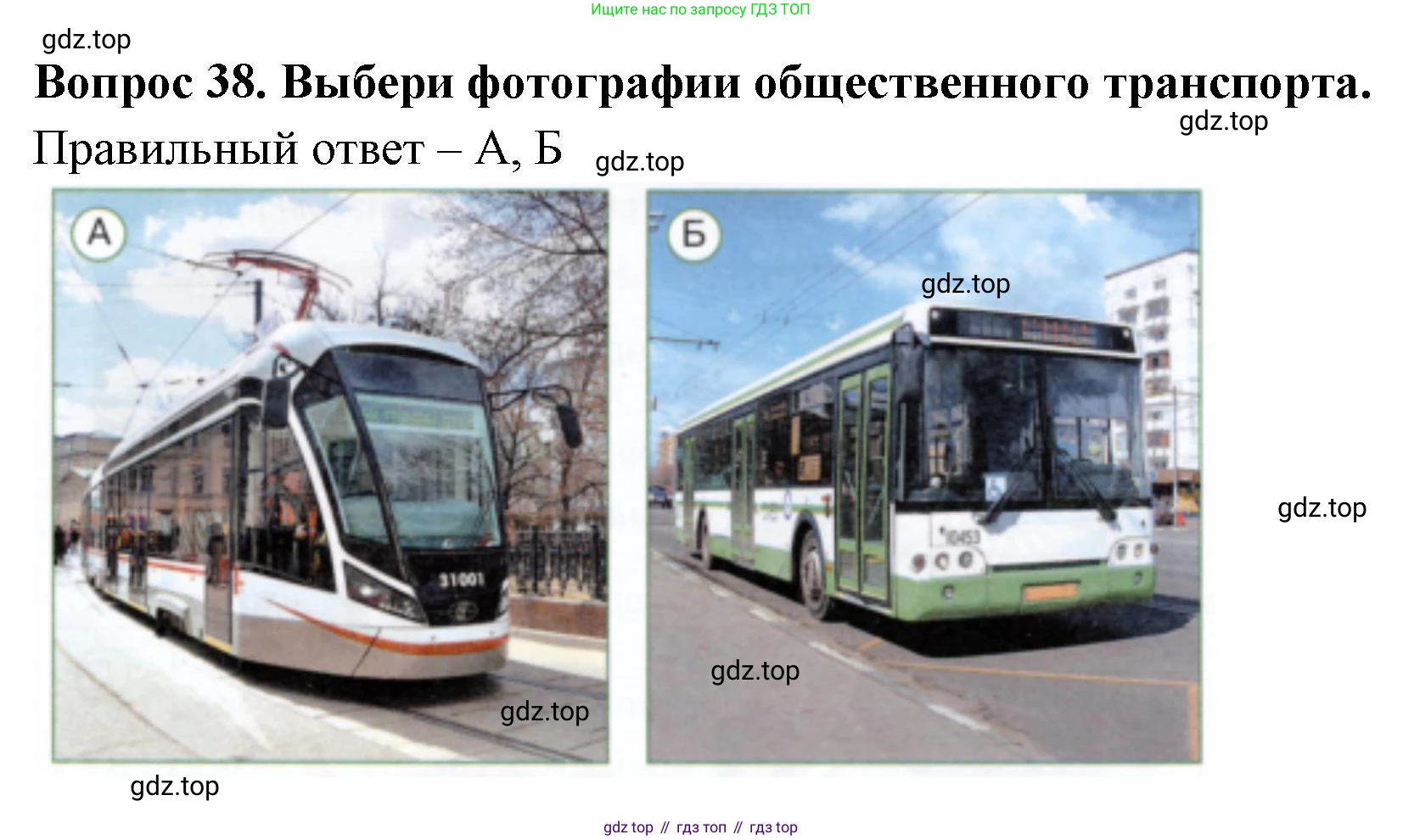 Окружающий мир, 3 класс Тесты, авторы: Плешаков Андрей Анатольевич, Новицкая Марина Юрьевна, Назарова З Д, издательство Просвещение, Москва, 2019, белого цвета, страница 15, номер 38, Решение