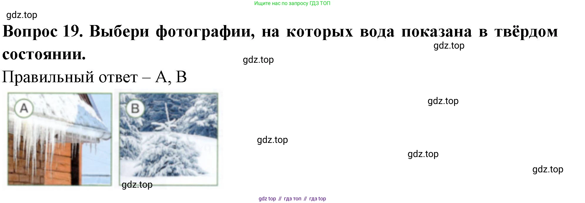 Окружающий мир, 3 класс Тесты, авторы: Плешаков Андрей Анатольевич, Новицкая Марина Юрьевна, Назарова З Д, издательство Просвещение, Москва, 2019, белого цвета, страница 21, номер 19, Решение