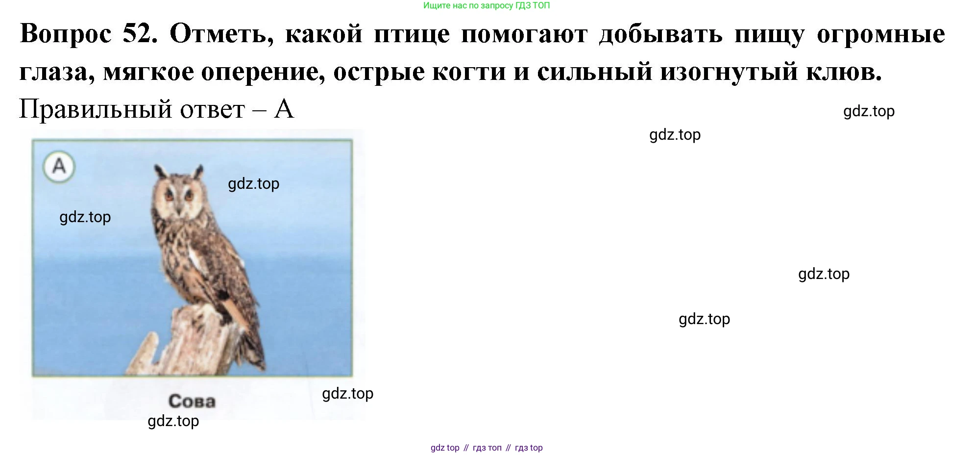Окружающий мир, 3 класс Тесты, авторы: Плешаков Андрей Анатольевич, Новицкая Марина Юрьевна, Назарова З Д, издательство Просвещение, Москва, 2019, белого цвета, страница 32, номер 52, Решение