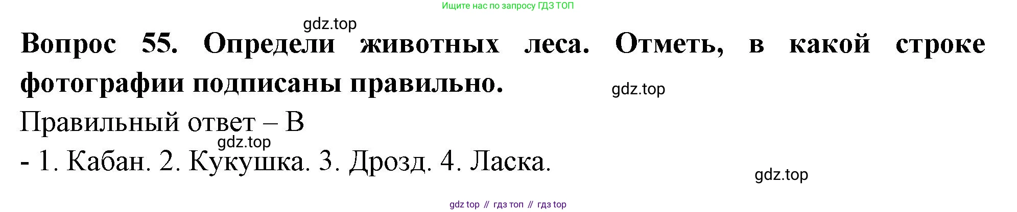 Окружающий мир, 3 класс Тесты, авторы: Плешаков Андрей Анатольевич, Новицкая Марина Юрьевна, Назарова З Д, издательство Просвещение, Москва, 2019, белого цвета, страница 34, номер 55, Решение