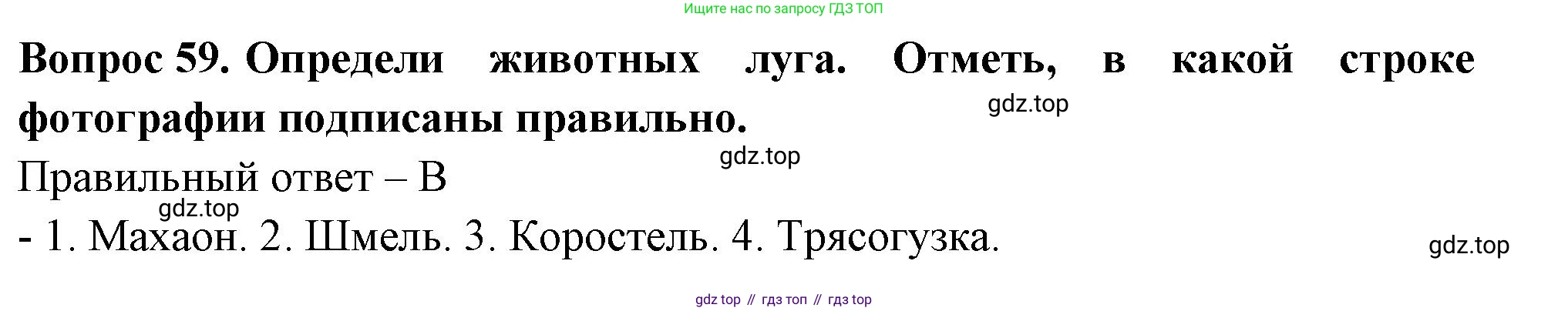 Окружающий мир, 3 класс Тесты, авторы: Плешаков Андрей Анатольевич, Новицкая Марина Юрьевна, Назарова З Д, издательство Просвещение, Москва, 2019, белого цвета, страница 36, номер 59, Решение