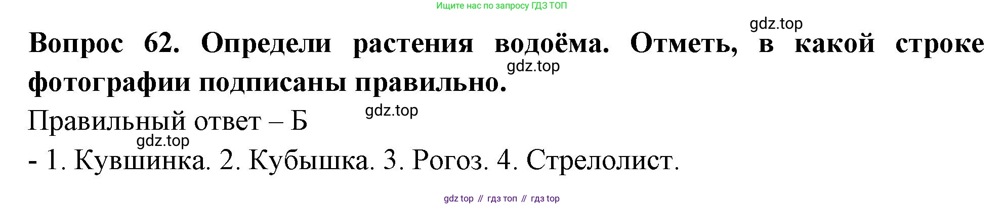 Окружающий мир, 3 класс Тесты, авторы: Плешаков Андрей Анатольевич, Новицкая Марина Юрьевна, Назарова З Д, издательство Просвещение, Москва, 2019, белого цвета, страница 37, номер 62, Решение