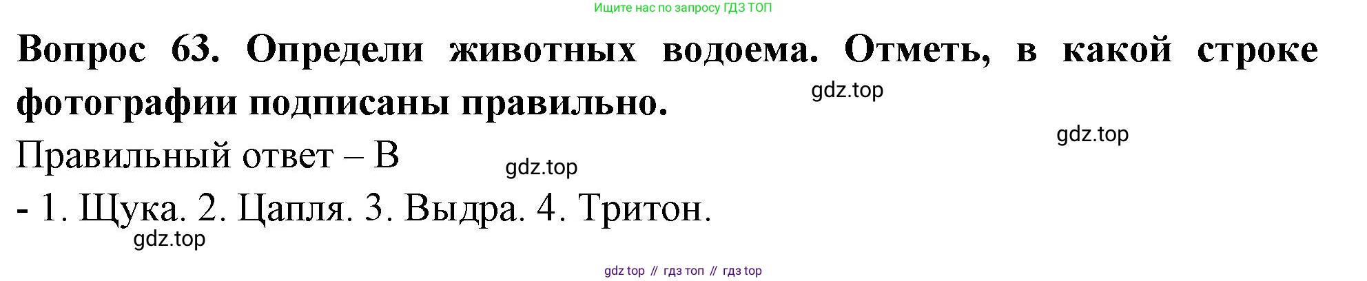 Окружающий мир, 3 класс Тесты, авторы: Плешаков Андрей Анатольевич, Новицкая Марина Юрьевна, Назарова З Д, издательство Просвещение, Москва, 2019, белого цвета, страница 38, номер 63, Решение