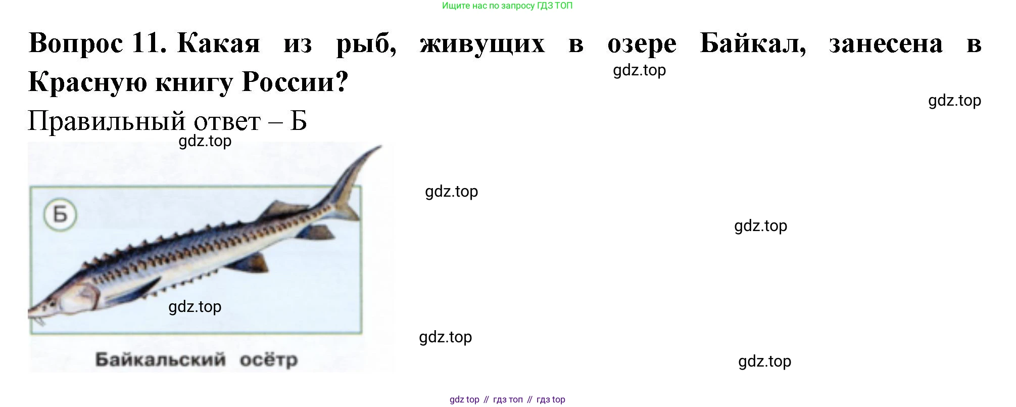 Окружающий мир, 3 класс Тесты, авторы: Плешаков Андрей Анатольевич, Новицкая Марина Юрьевна, Назарова З Д, издательство Просвещение, Москва, 2019, белого цвета, страница 68, номер 11, Решение