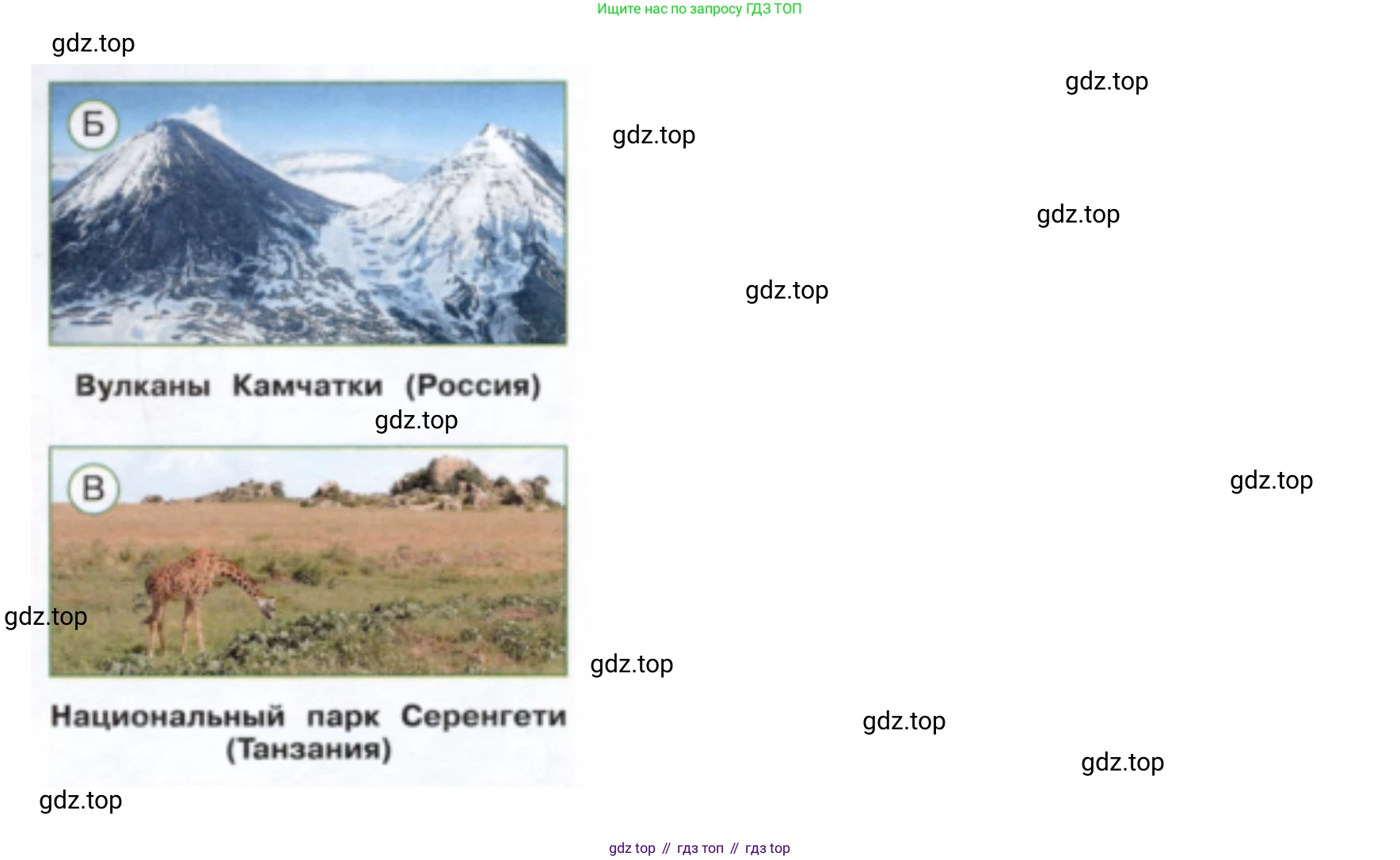 Окружающий мир, 3 класс Тесты, авторы: Плешаков Андрей Анатольевич, Новицкая Марина Юрьевна, Назарова З Д, издательство Просвещение, Москва, 2019, белого цвета, страница 65, номер 3, Решение (продолжение 2)