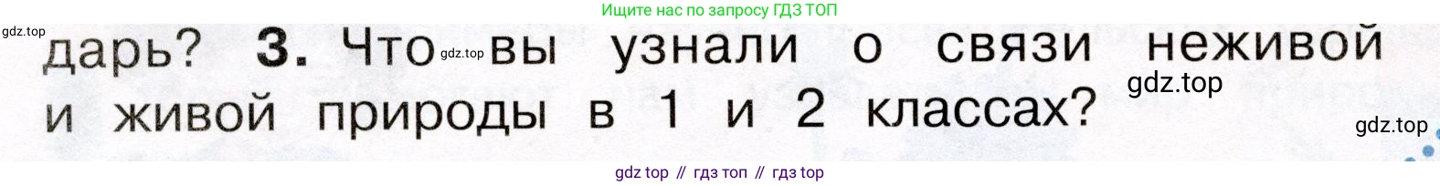 Окружающий мир, 3 класс Учебник, авторы: Плешаков Андрей Анатольевич, Новицкая Марина Юрьевна, издательство Просвещение, Москва, 2019, белого цвета, Часть 1, страница 48, номер 3, Условие