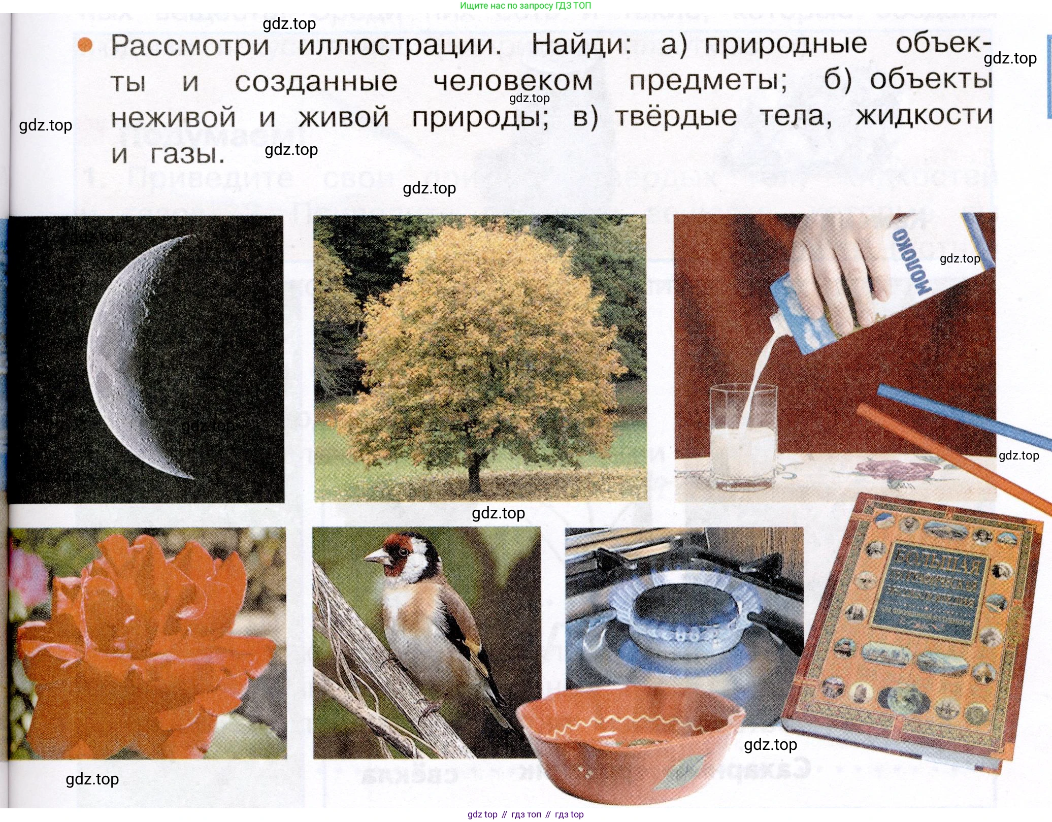 Окружающий мир, 3 класс Учебник, авторы: Плешаков Андрей Анатольевич, Новицкая Марина Юрьевна, издательство Просвещение, Москва, 2019, белого цвета, Часть 1, страница 53, Условие
