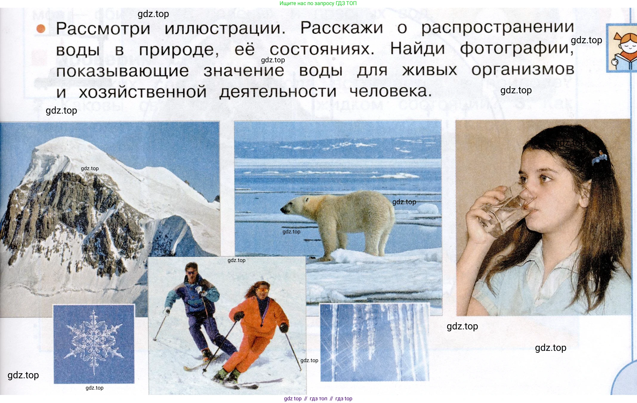 Окружающий мир, 3 класс Учебник, авторы: Плешаков Андрей Анатольевич, Новицкая Марина Юрьевна, издательство Просвещение, Москва, 2019, белого цвета, Часть 1, страница 65, Условие
