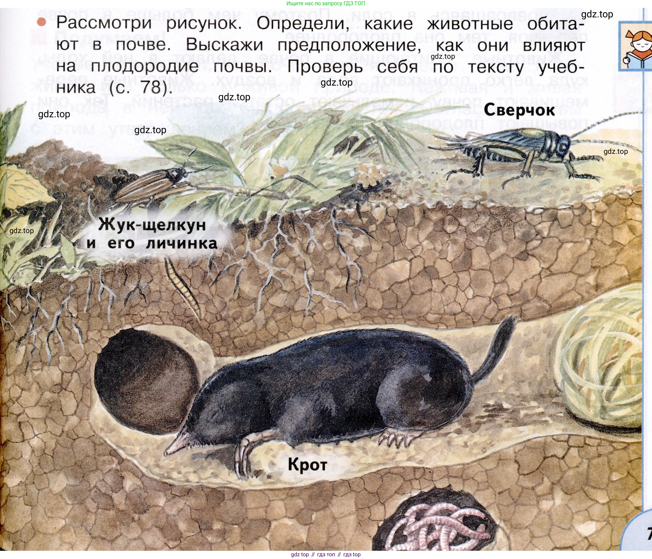 Окружающий мир, 3 класс Учебник, авторы: Плешаков Андрей Анатольевич, Новицкая Марина Юрьевна, издательство Просвещение, Москва, 2019, белого цвета, Часть 1, страница 77, Условие