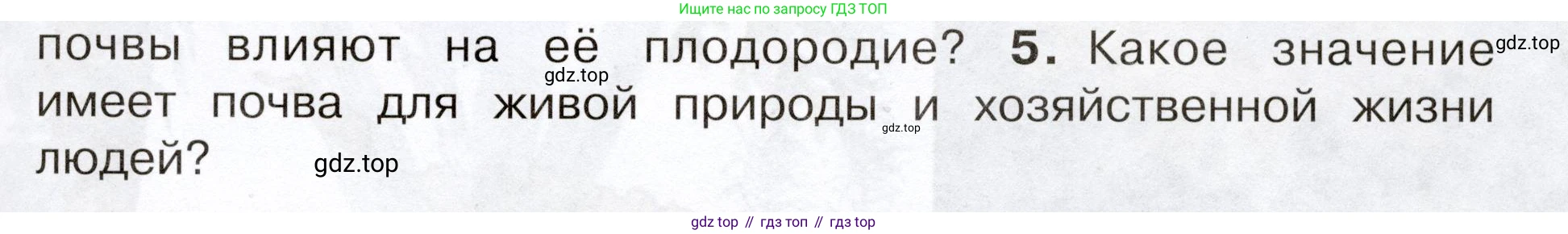 Окружающий мир, 3 класс Учебник, авторы: Плешаков Андрей Анатольевич, Новицкая Марина Юрьевна, издательство Просвещение, Москва, 2019, белого цвета, Часть 1, страница 79, номер 5, Условие