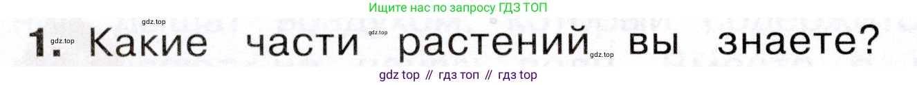 Окружающий мир, 3 класс Учебник, авторы: Плешаков Андрей Анатольевич, Новицкая Марина Юрьевна, издательство Просвещение, Москва, 2019, белого цвета, Часть 1, страница 80, номер 1, Условие