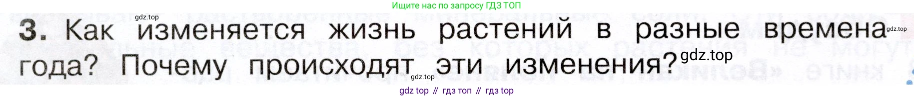 Окружающий мир, 3 класс Учебник, авторы: Плешаков Андрей Анатольевич, Новицкая Марина Юрьевна, издательство Просвещение, Москва, 2019, белого цвета, Часть 1, страница 80, номер 3, Условие