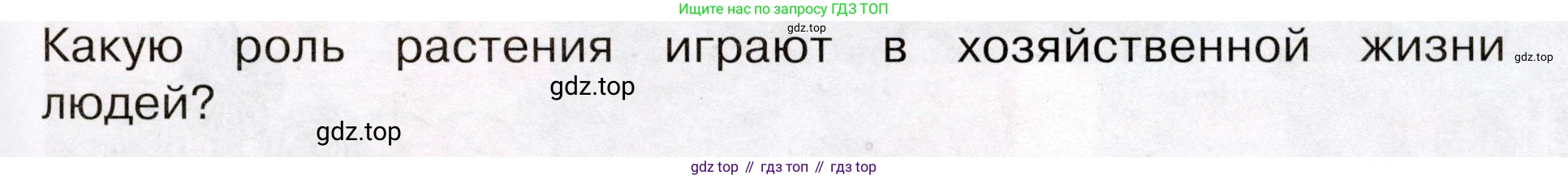 Окружающий мир, 3 класс Учебник, авторы: Плешаков Андрей Анатольевич, Новицкая Марина Юрьевна, издательство Просвещение, Москва, 2019, белого цвета, Часть 1, страница 83, Условие