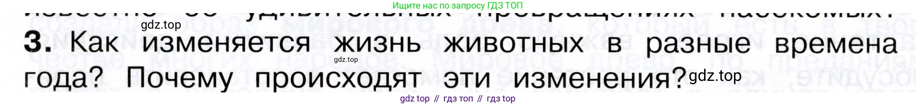Окружающий мир, 3 класс Учебник, авторы: Плешаков Андрей Анатольевич, Новицкая Марина Юрьевна, издательство Просвещение, Москва, 2019, белого цвета, Часть 1, страница 88, номер 3, Условие