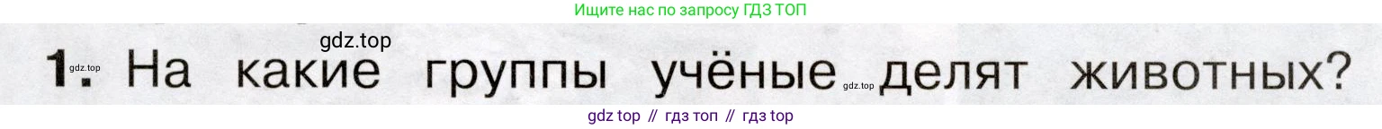 Окружающий мир, 3 класс Учебник, авторы: Плешаков Андрей Анатольевич, Новицкая Марина Юрьевна, издательство Просвещение, Москва, 2019, белого цвета, Часть 1, страница 91, номер 1, Условие