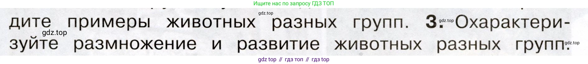 Окружающий мир, 3 класс Учебник, авторы: Плешаков Андрей Анатольевич, Новицкая Марина Юрьевна, издательство Просвещение, Москва, 2019, белого цвета, Часть 1, страница 91, номер 3, Условие