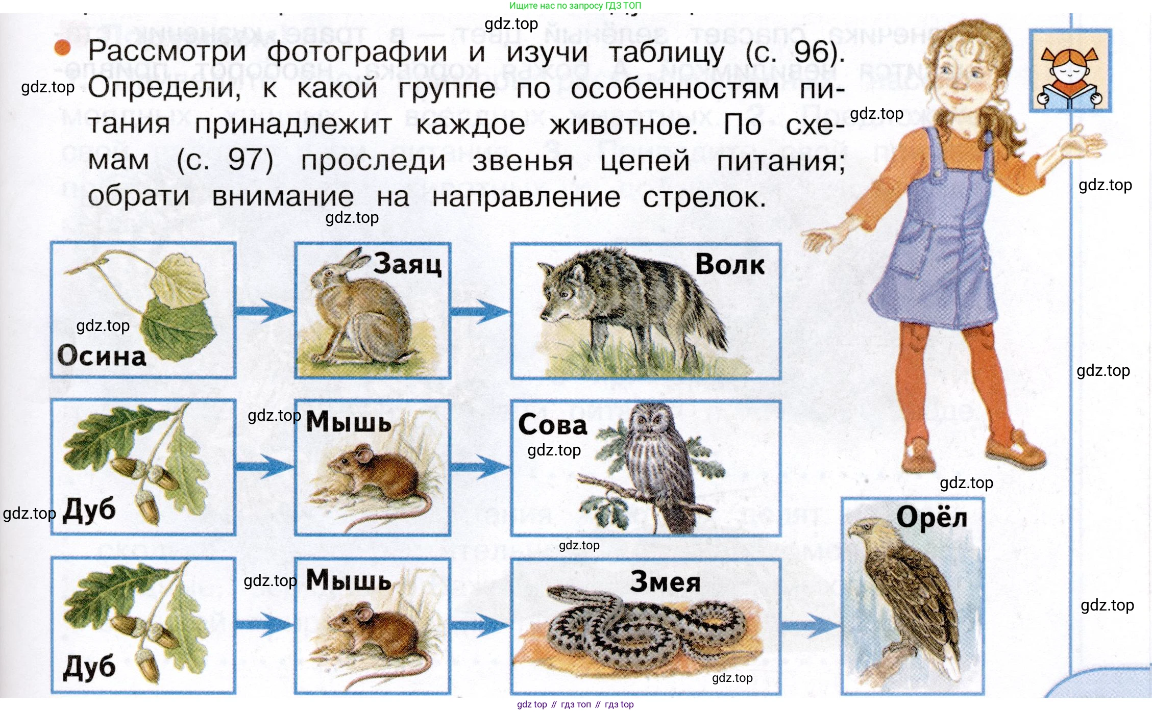 Окружающий мир, 3 класс Учебник, авторы: Плешаков Андрей Анатольевич, Новицкая Марина Юрьевна, издательство Просвещение, Москва, 2019, белого цвета, Часть 1, страница 97, Условие