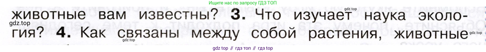 Окружающий мир, 3 класс Учебник, авторы: Плешаков Андрей Анатольевич, Новицкая Марина Юрьевна, издательство Просвещение, Москва, 2019, белого цвета, Часть 1, страница 100, номер 3, Условие