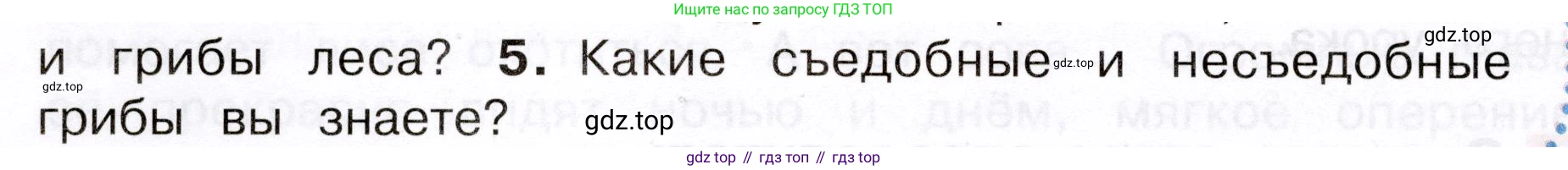 Окружающий мир, 3 класс Учебник, авторы: Плешаков Андрей Анатольевич, Новицкая Марина Юрьевна, издательство Просвещение, Москва, 2019, белого цвета, Часть 1, страница 100, номер 5, Условие