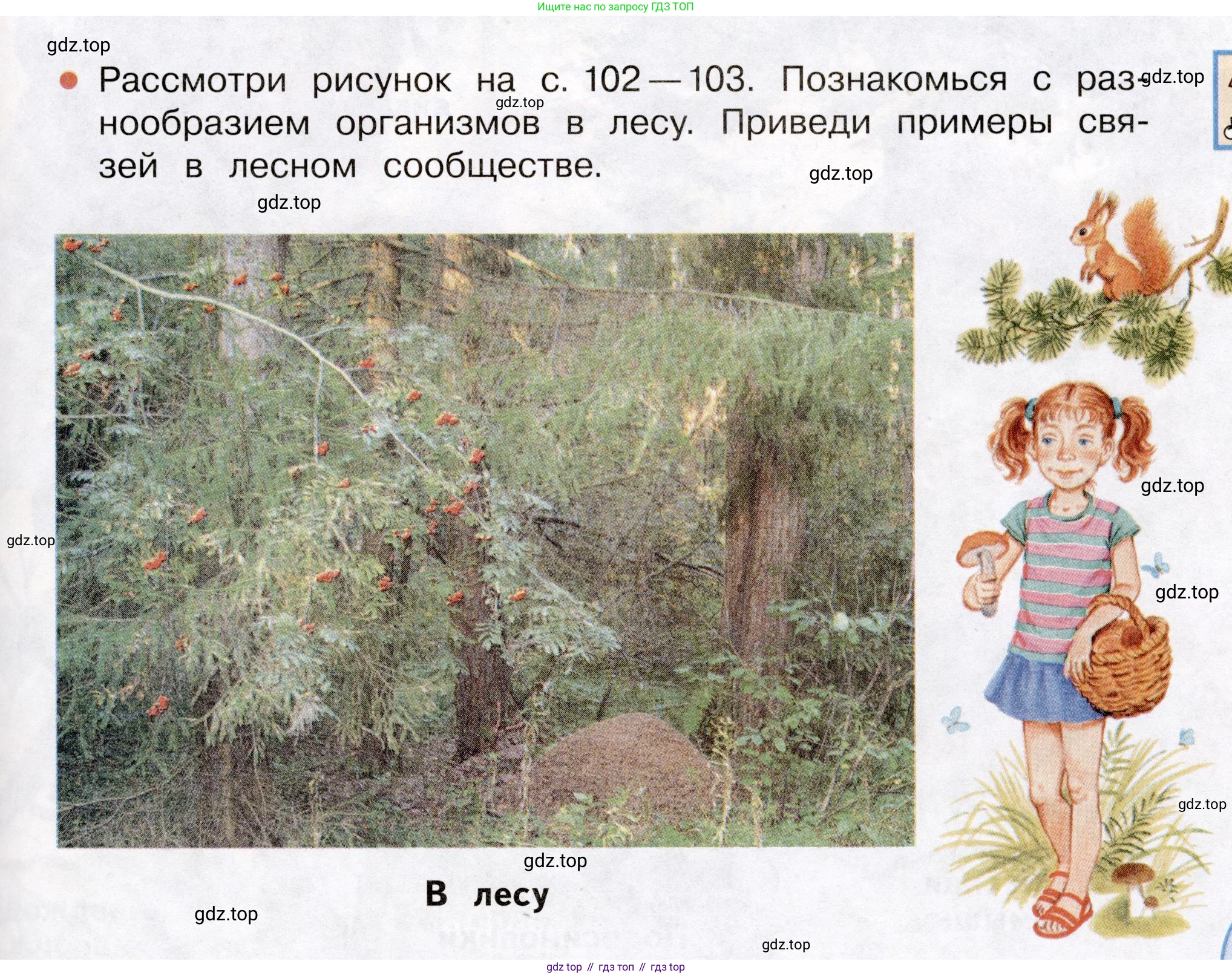 Окружающий мир, 3 класс Учебник, авторы: Плешаков Андрей Анатольевич, Новицкая Марина Юрьевна, издательство Просвещение, Москва, 2019, белого цвета, Часть 1, страница 101, Условие