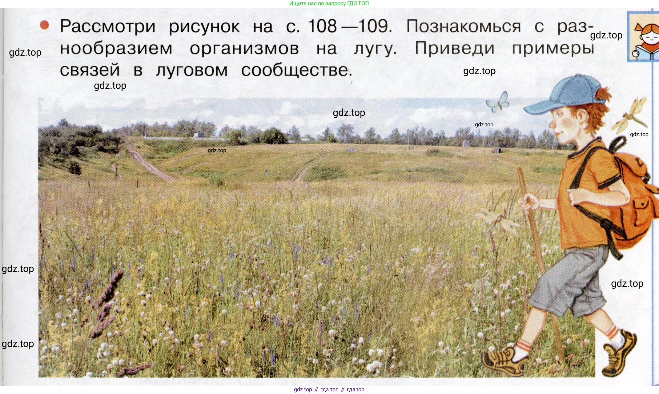 Окружающий мир, 3 класс Учебник, авторы: Плешаков Андрей Анатольевич, Новицкая Марина Юрьевна, издательство Просвещение, Москва, 2019, белого цвета, Часть 1, страница 107, Условие