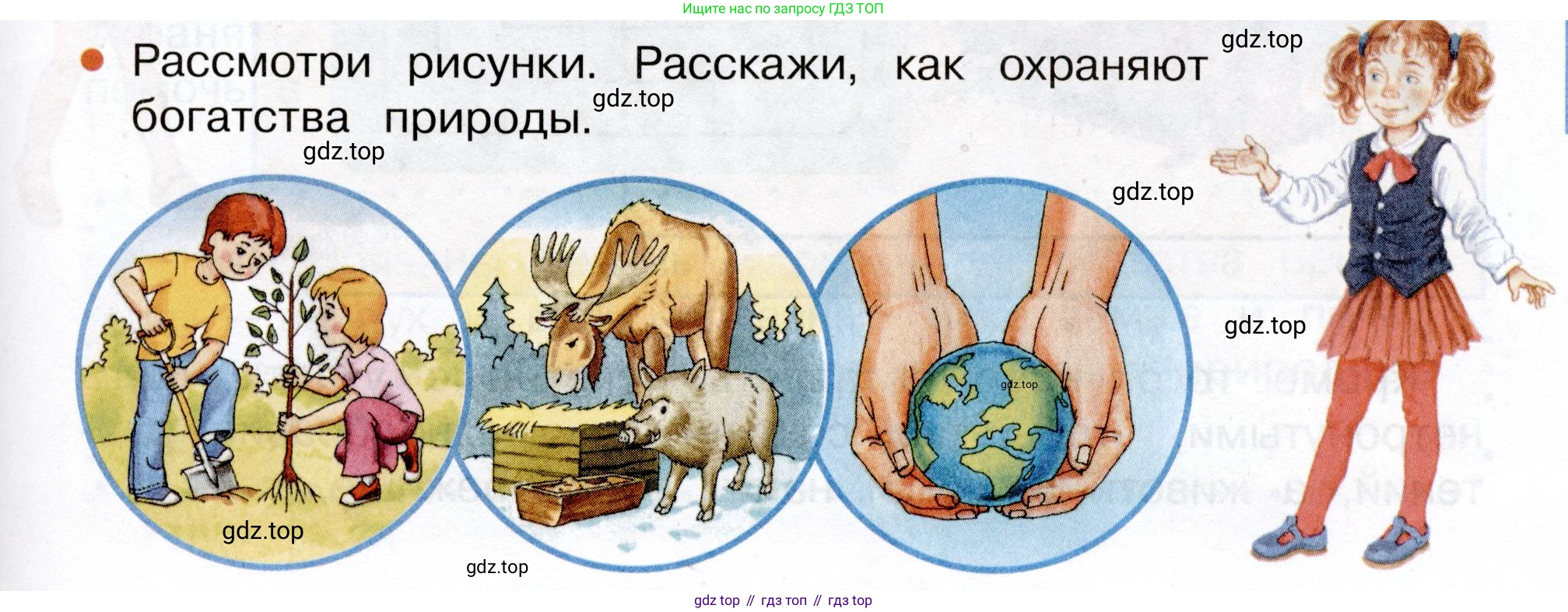 Окружающий мир, 3 класс Учебник, авторы: Плешаков Андрей Анатольевич, Новицкая Марина Юрьевна, издательство Просвещение, Москва, 2019, белого цвета, Часть 1, страница 119, Условие