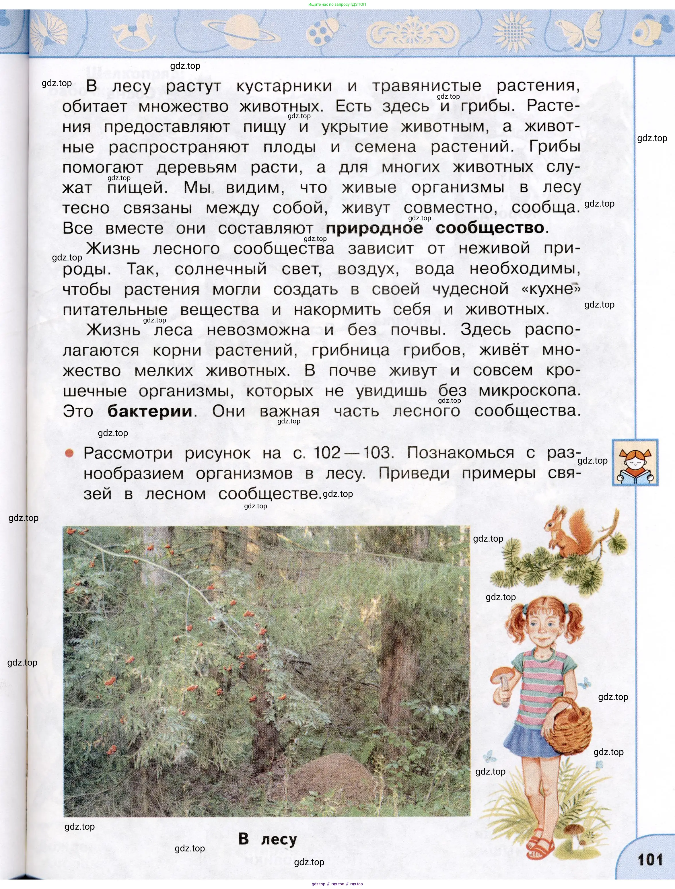 Окружающий мир, 3 класс Учебник, авторы: Плешаков Андрей Анатольевич, Новицкая Марина Юрьевна, издательство Просвещение, Москва, 2019, белого цвета, Часть 1, страница 101
