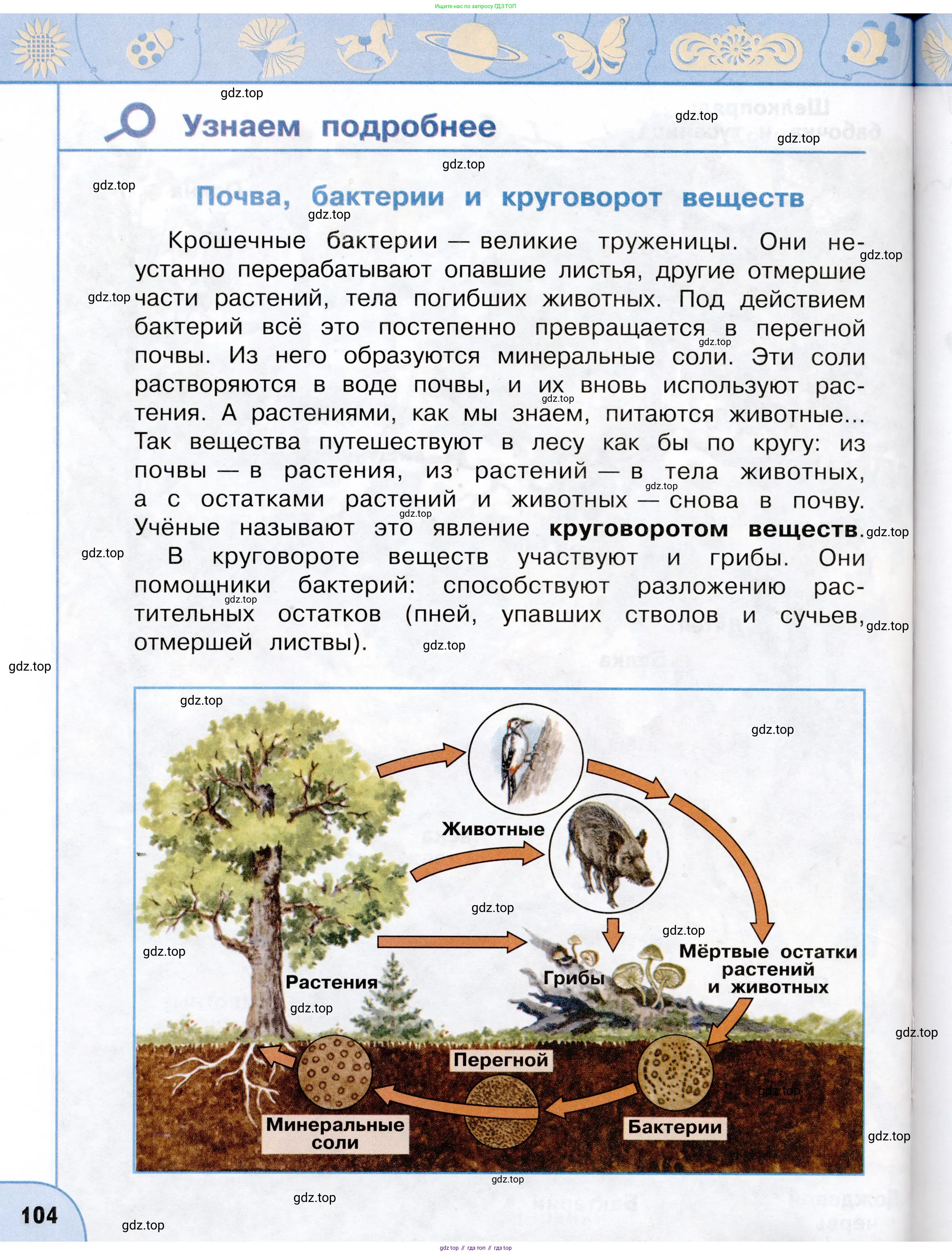 Окружающий мир, 3 класс Учебник, авторы: Плешаков Андрей Анатольевич, Новицкая Марина Юрьевна, издательство Просвещение, Москва, 2019, белого цвета, Часть 2, страница 104