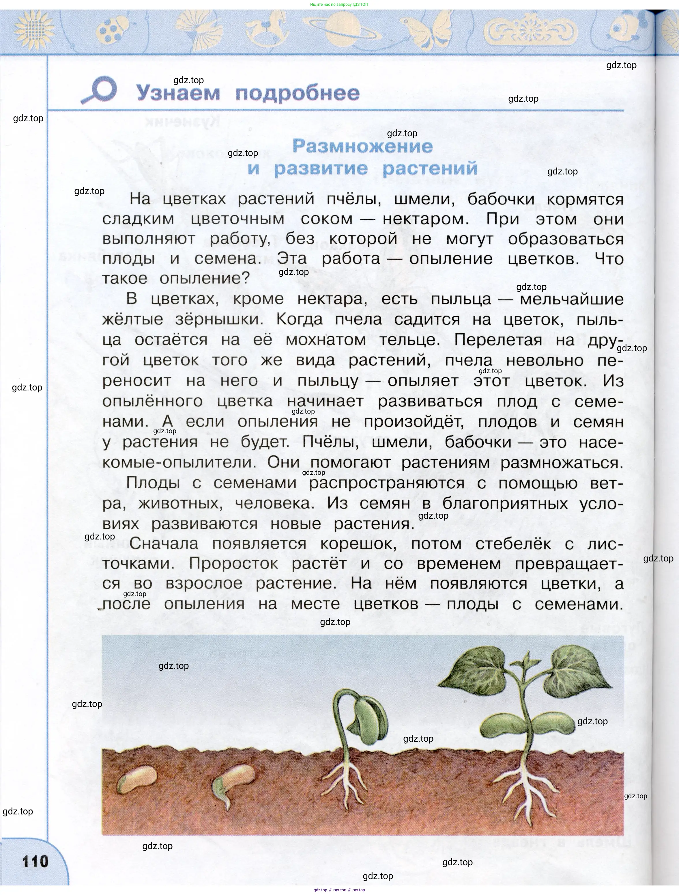 Окружающий мир, 3 класс Учебник, авторы: Плешаков Андрей Анатольевич, Новицкая Марина Юрьевна, издательство Просвещение, Москва, 2019, белого цвета, страница 110