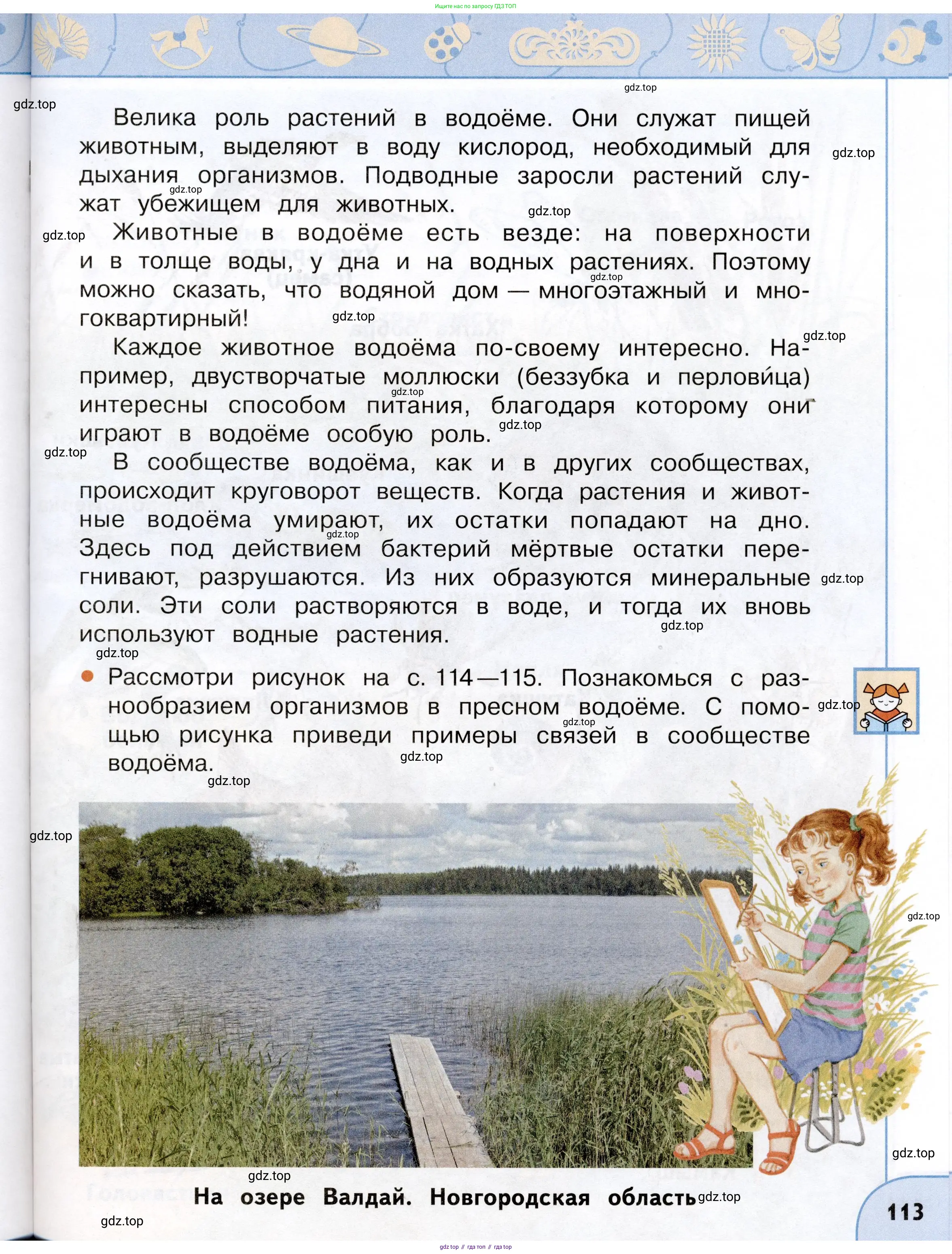 Окружающий мир, 3 класс Учебник, авторы: Плешаков Андрей Анатольевич, Новицкая Марина Юрьевна, издательство Просвещение, Москва, 2019, белого цвета, Часть 1, страница 113