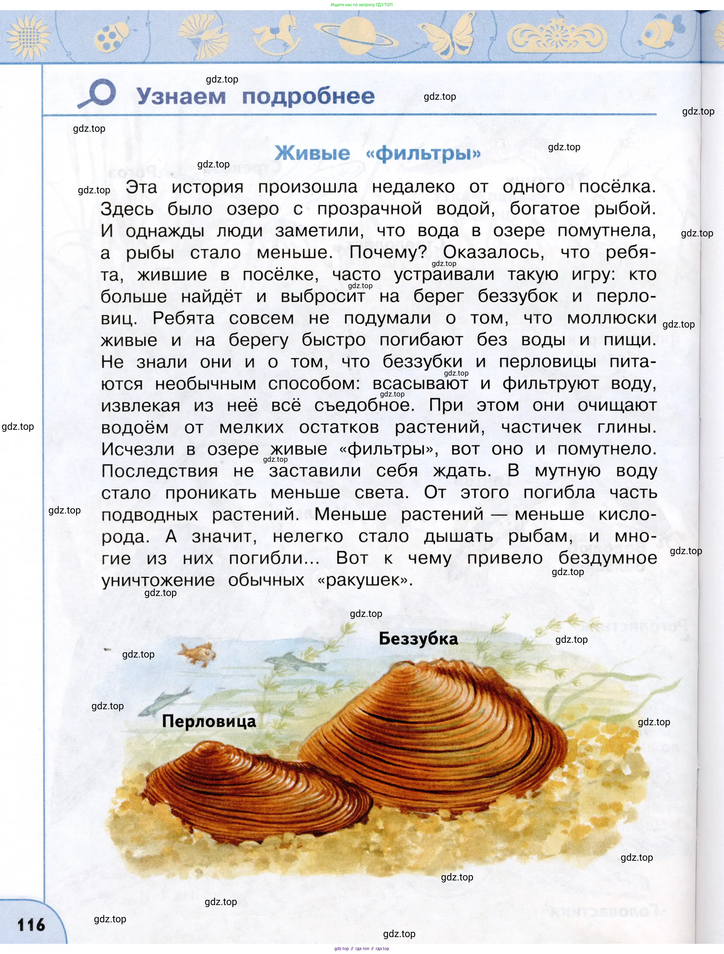 Окружающий мир, 3 класс Учебник, авторы: Плешаков Андрей Анатольевич, Новицкая Марина Юрьевна, издательство Просвещение, Москва, 2019, белого цвета, Часть 2, страница 116