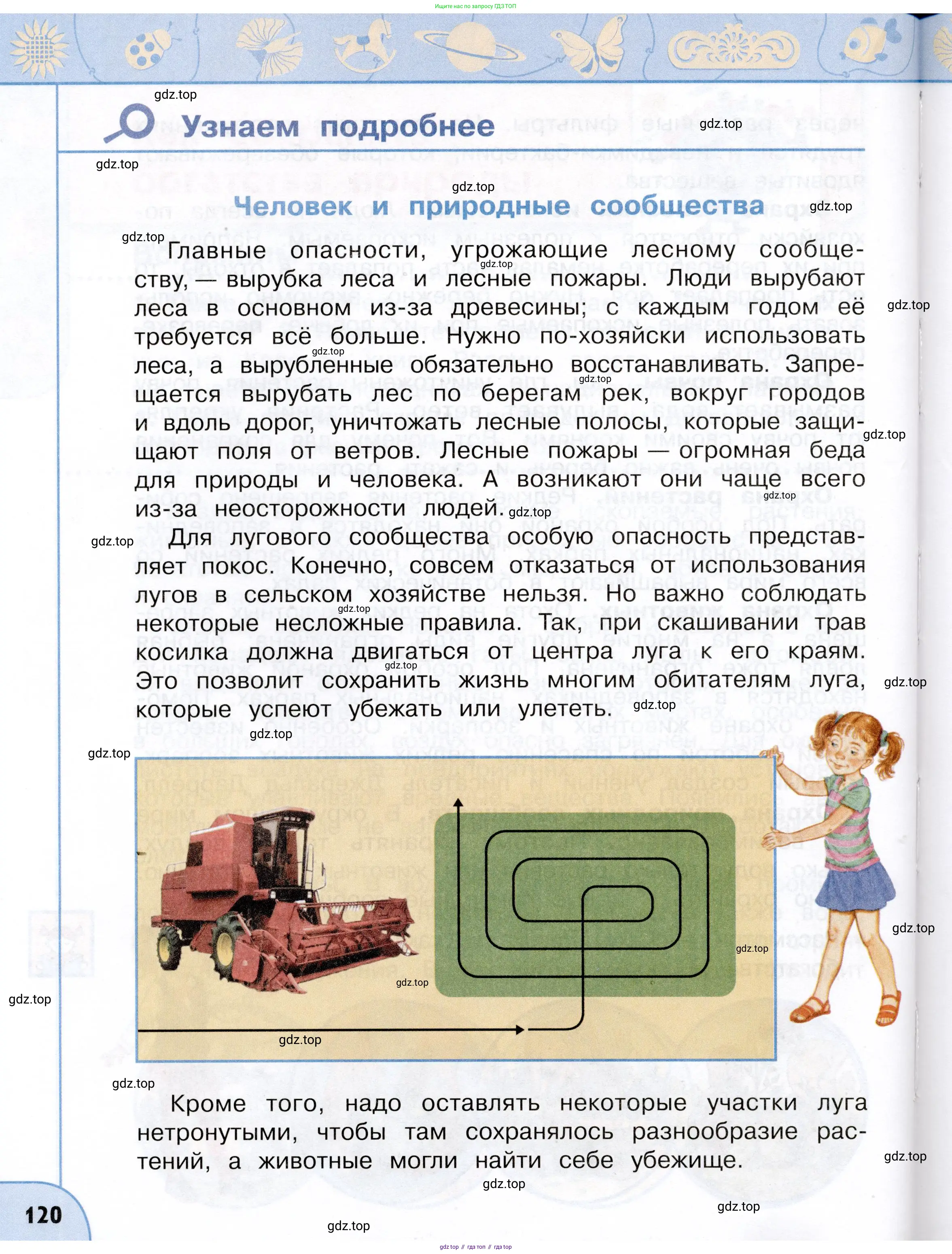 Окружающий мир, 3 класс Учебник, авторы: Плешаков Андрей Анатольевич, Новицкая Марина Юрьевна, издательство Просвещение, Москва, 2019, белого цвета, Часть 2, страница 120