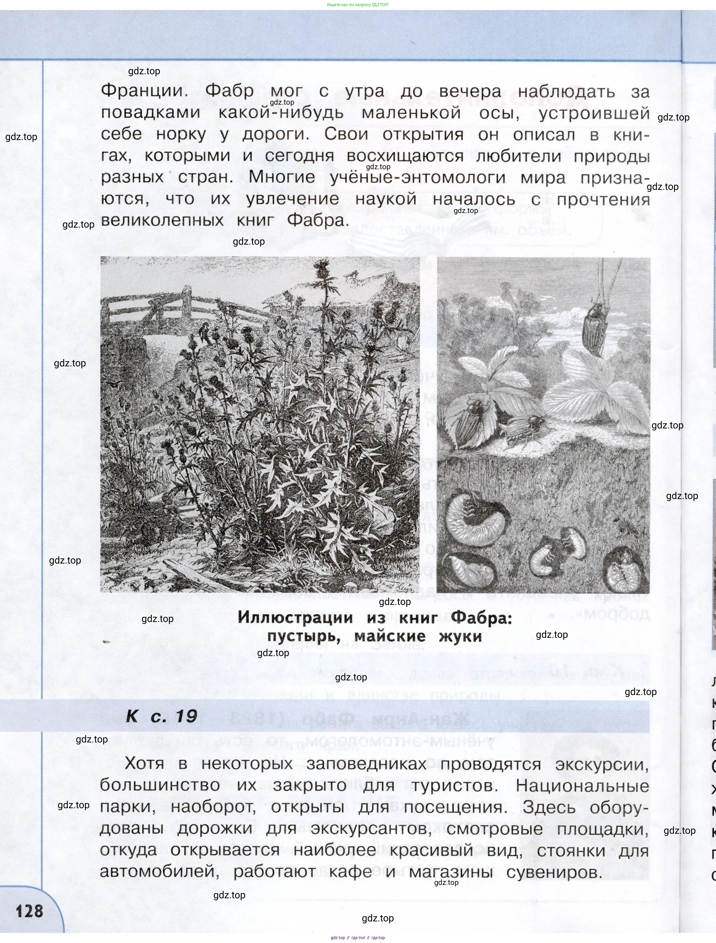 Окружающий мир, 3 класс Учебник, авторы: Плешаков Андрей Анатольевич, Новицкая Марина Юрьевна, издательство Просвещение, Москва, 2019, белого цвета, страница 128