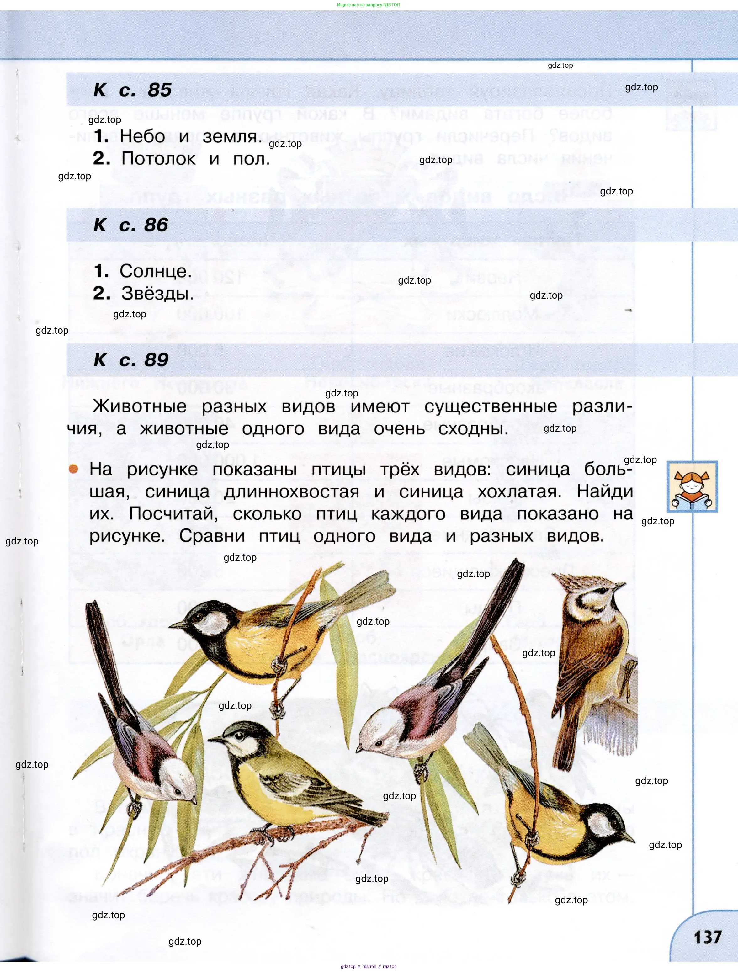 Окружающий мир, 3 класс Учебник, авторы: Плешаков Андрей Анатольевич, Новицкая Марина Юрьевна, издательство Просвещение, Москва, 2019, белого цвета, страница 137