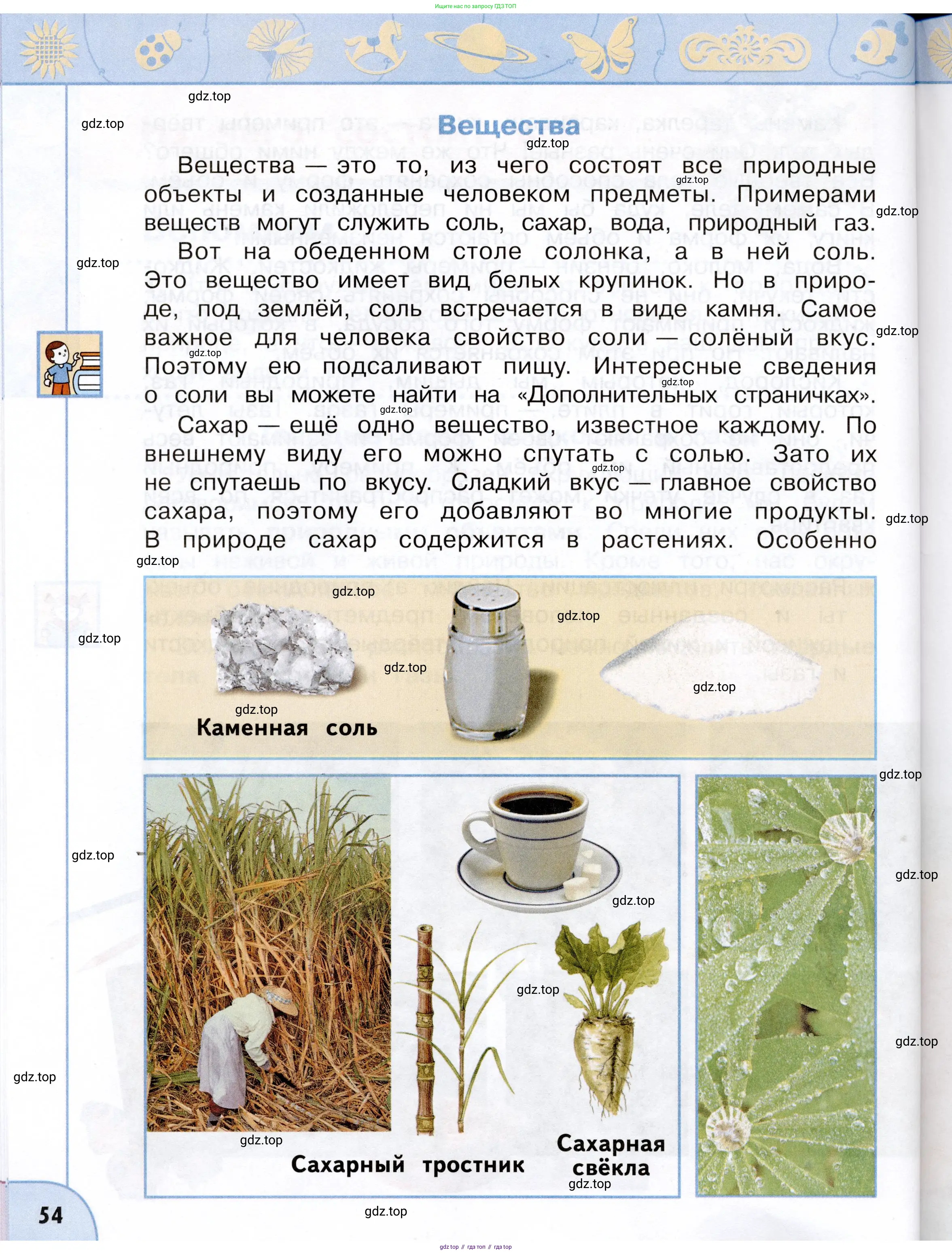 Окружающий мир, 3 класс Учебник, авторы: Плешаков Андрей Анатольевич, Новицкая Марина Юрьевна, издательство Просвещение, Москва, 2019, белого цвета, страница 54