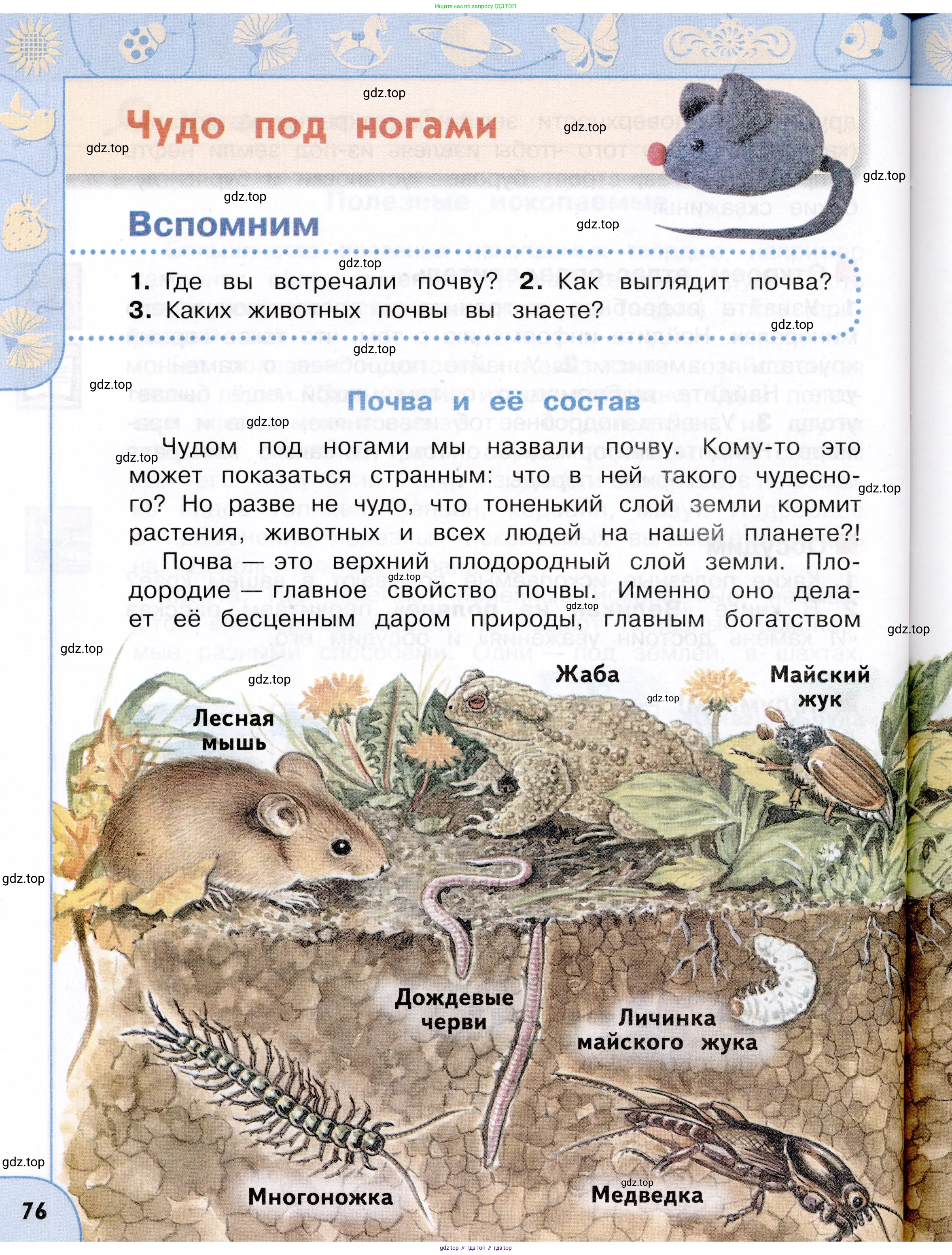 Окружающий мир, 3 класс Учебник, авторы: Плешаков Андрей Анатольевич, Новицкая Марина Юрьевна, издательство Просвещение, Москва, 2019, белого цвета, Часть 1, страница 76