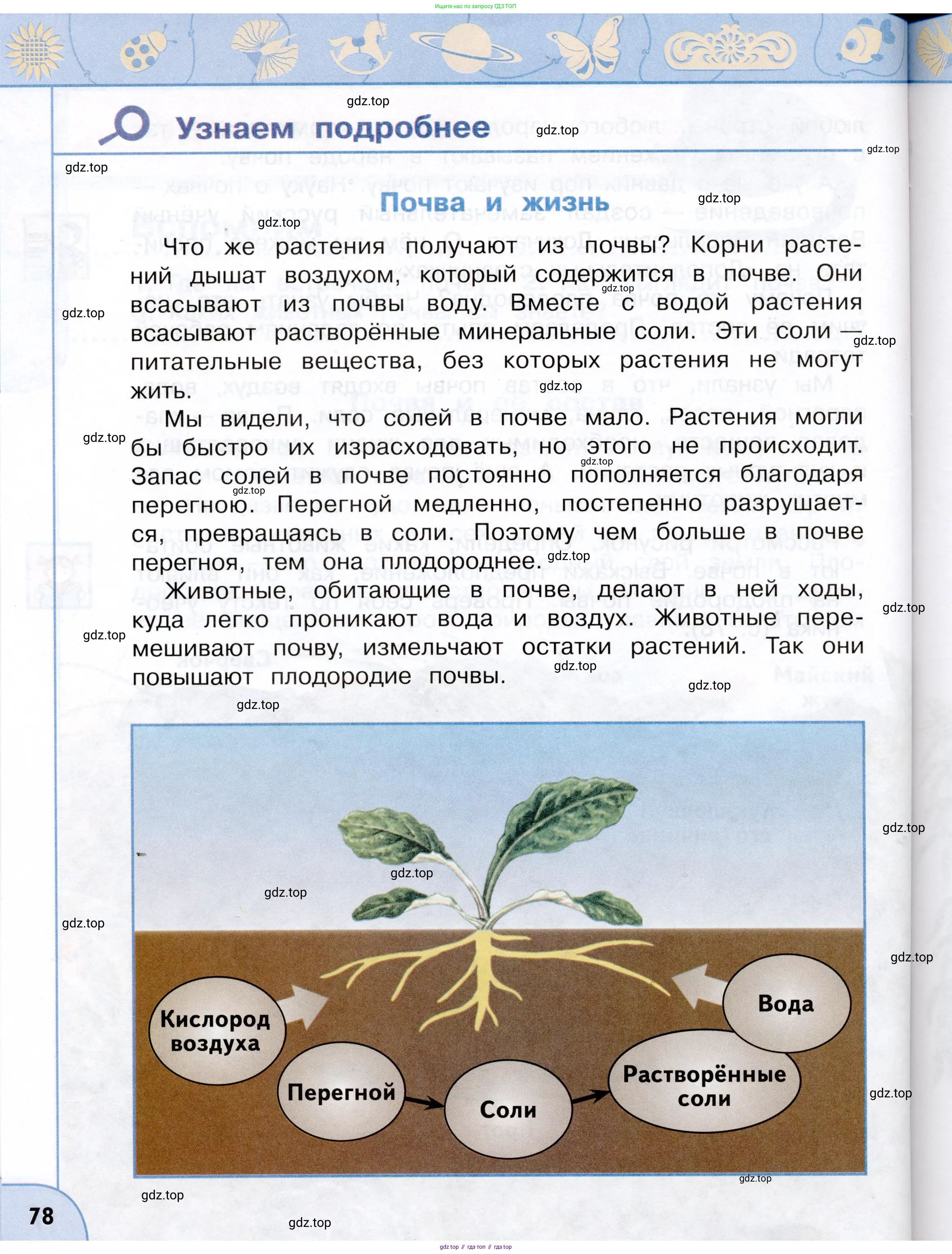 Окружающий мир, 3 класс Учебник, авторы: Плешаков Андрей Анатольевич, Новицкая Марина Юрьевна, издательство Просвещение, Москва, 2019, белого цвета, страница 78