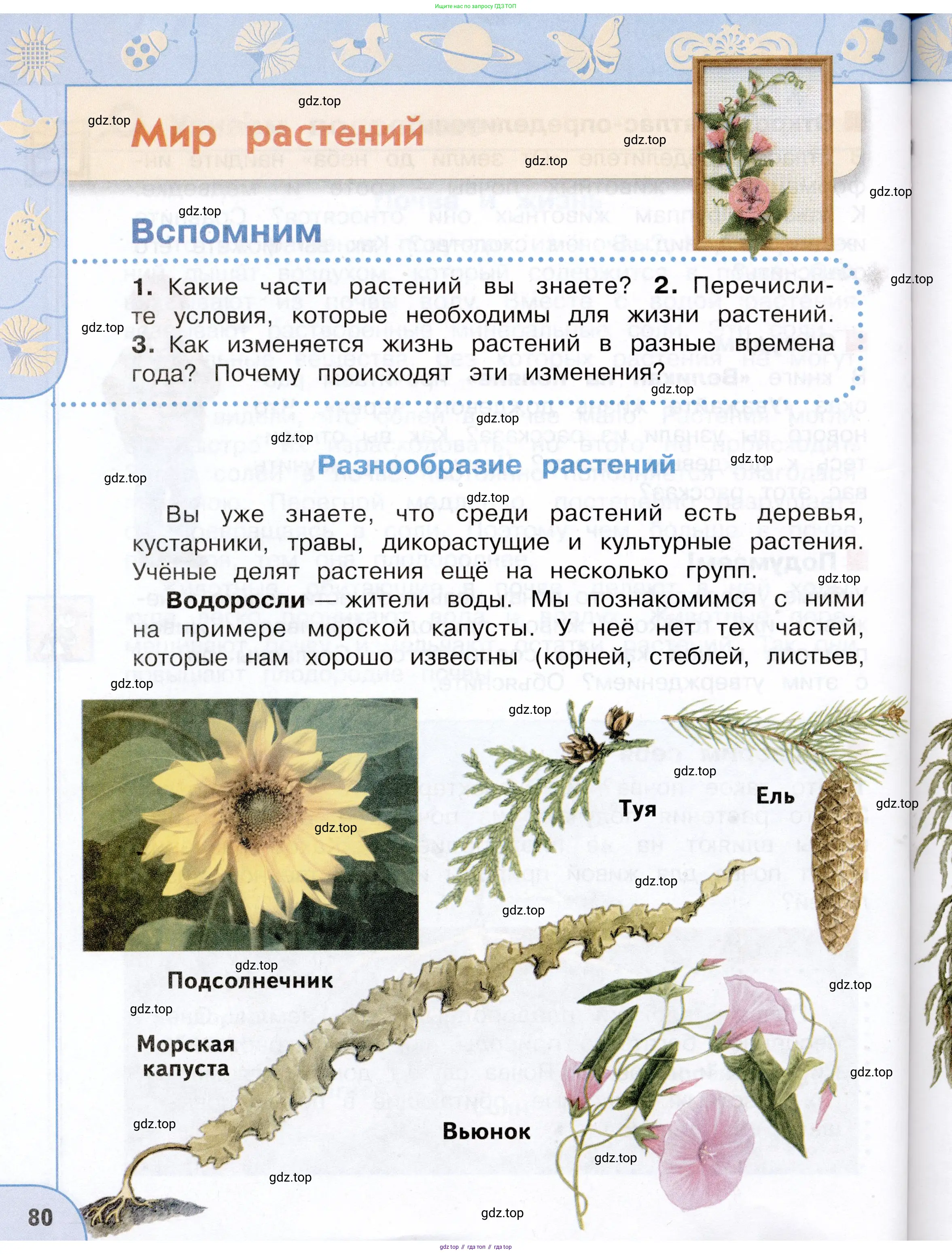 Окружающий мир, 3 класс Учебник, авторы: Плешаков Андрей Анатольевич, Новицкая Марина Юрьевна, издательство Просвещение, Москва, 2019, белого цвета, Часть 1, страница 80