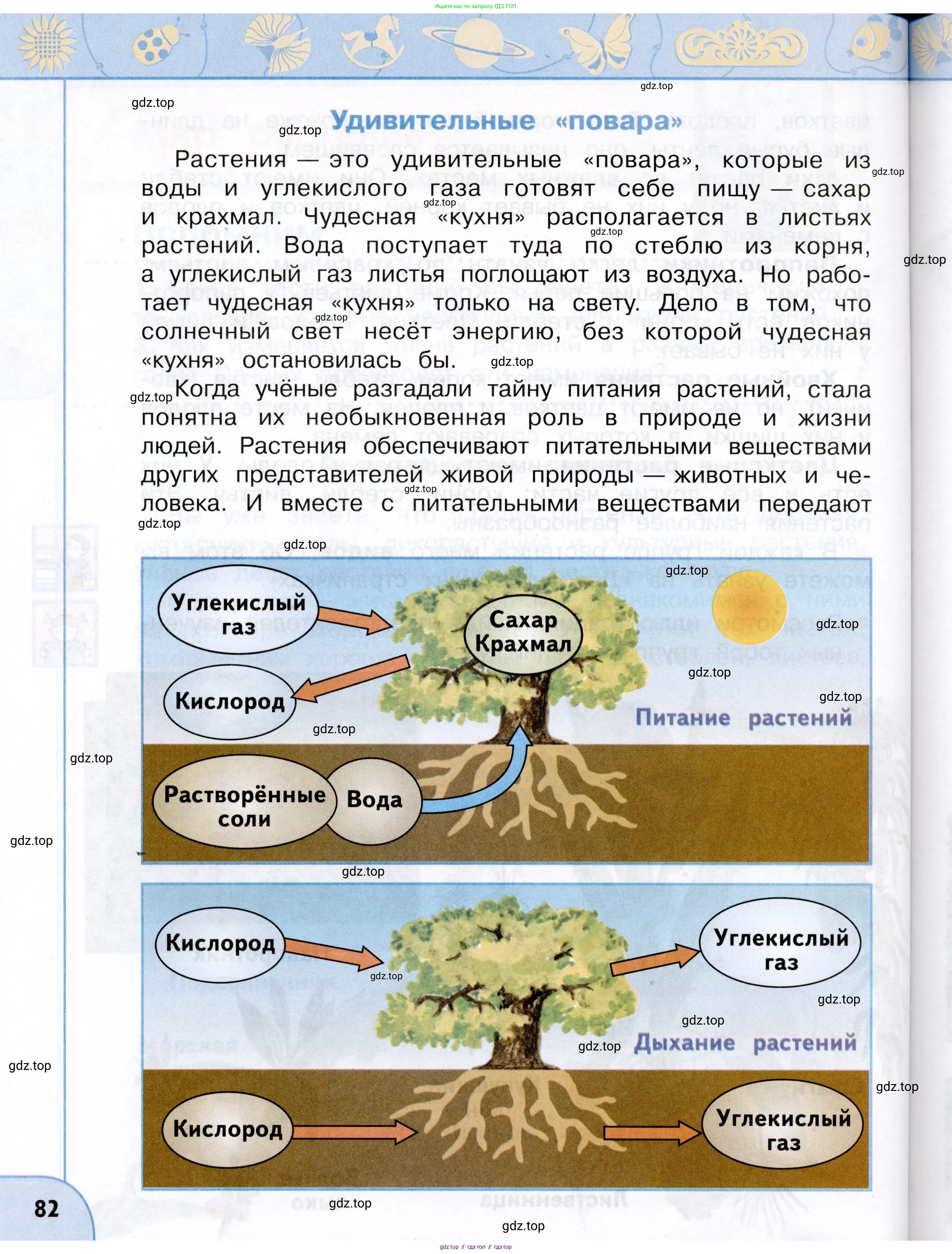 Окружающий мир, 3 класс Учебник, авторы: Плешаков Андрей Анатольевич, Новицкая Марина Юрьевна, издательство Просвещение, Москва, 2019, белого цвета, страница 82