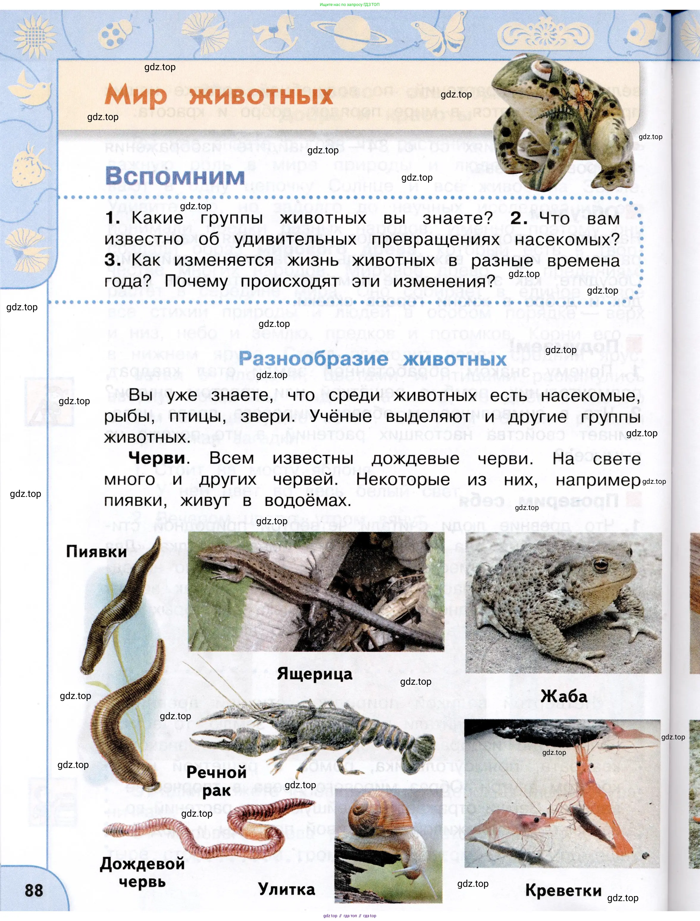 Окружающий мир, 3 класс Учебник, авторы: Плешаков Андрей Анатольевич, Новицкая Марина Юрьевна, издательство Просвещение, Москва, 2019, белого цвета, Часть 1, страница 88