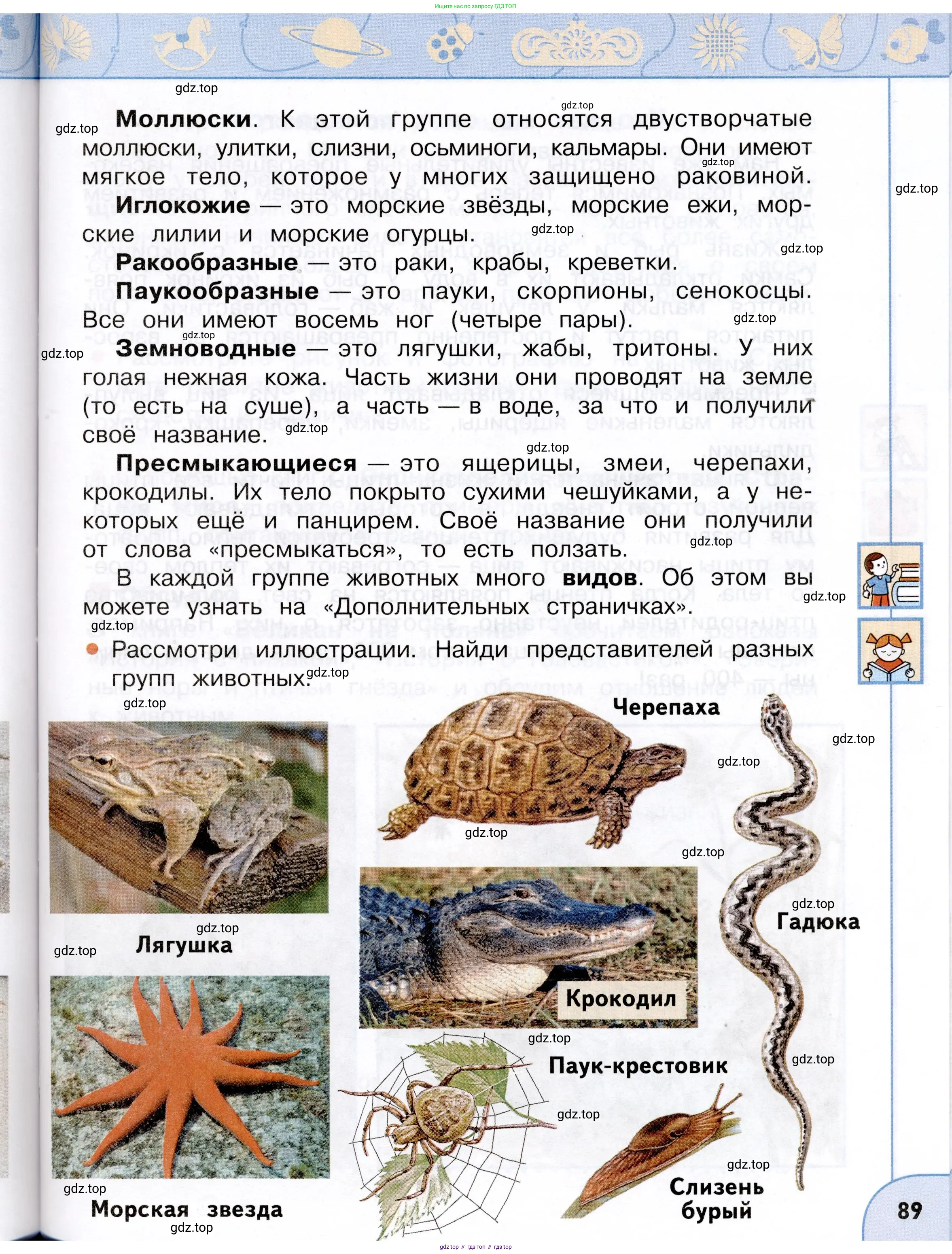 Окружающий мир, 3 класс Учебник, авторы: Плешаков Андрей Анатольевич, Новицкая Марина Юрьевна, издательство Просвещение, Москва, 2019, белого цвета, Часть 1, страница 89
